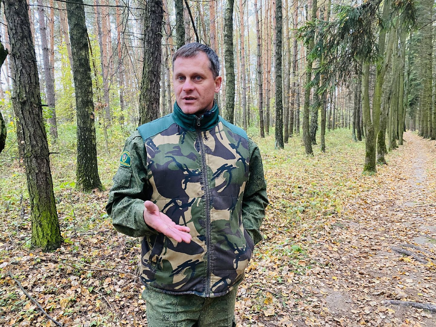 грибной сезон, грибной маршрут, миф, домодедово, подмосковье, ложный гриб, лесная просека, лесные маршруты, лесничий, грибник, грибы,