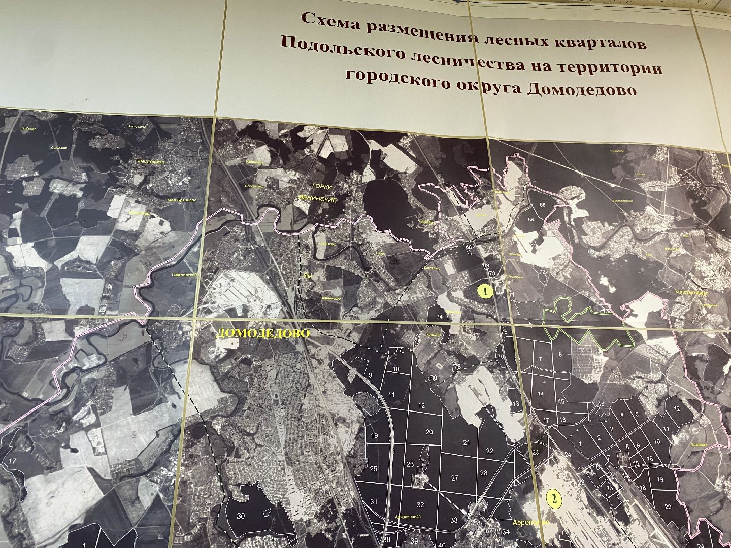 грибной сезон, грибной маршрут, миф, домодедово, подмосковье, ложный гриб, лесная просека, лесные маршруты, лесничий, грибник, грибы,