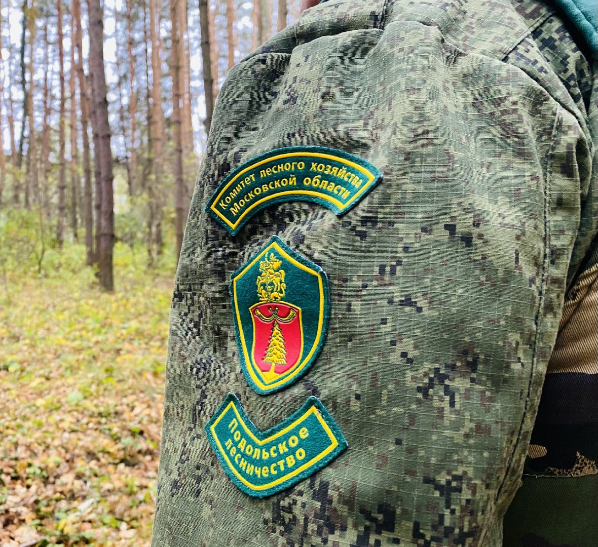 грибной сезон, грибной маршрут, миф, домодедово, подмосковье, ложный гриб, лесная просека, лесные маршруты, лесничий, грибник, грибы,