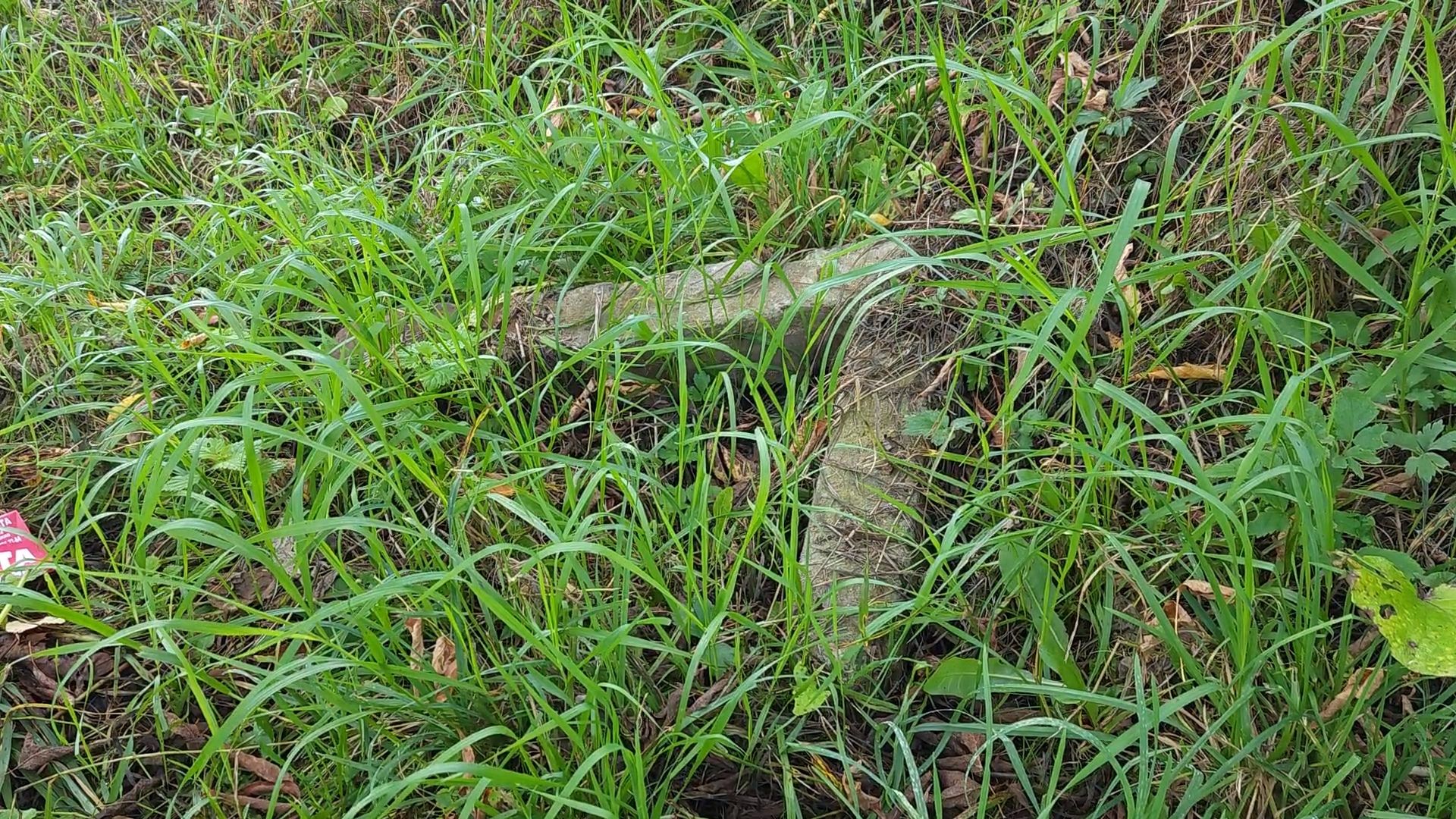 Общественная организация, Одинцово, Пионерская, Станция, Дубки, Гусарская баллада, Ремонт, ржд,