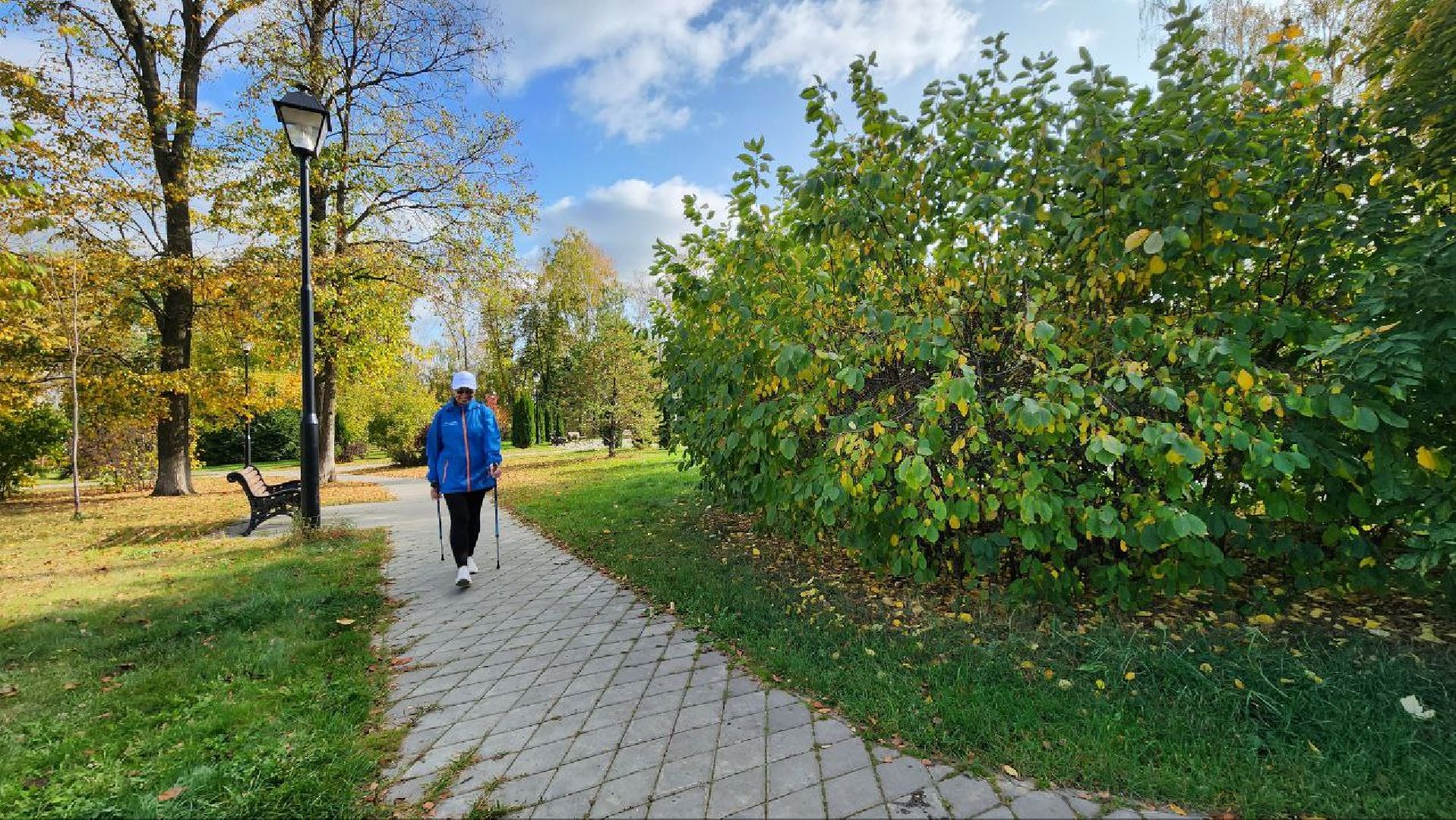 активное долголетие, человек идущий, пенсионеры, Лосино-Петровский,