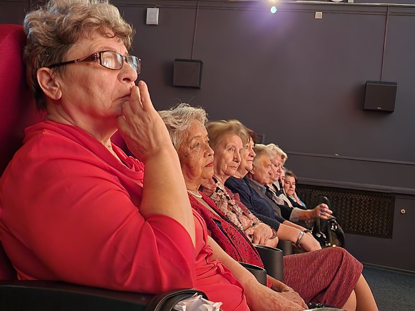 активное долголетие, ветераны, пожилые люди, день пожилого человека, егорьевск, подмосковье, губернатор, губернаторская программа, концерт,