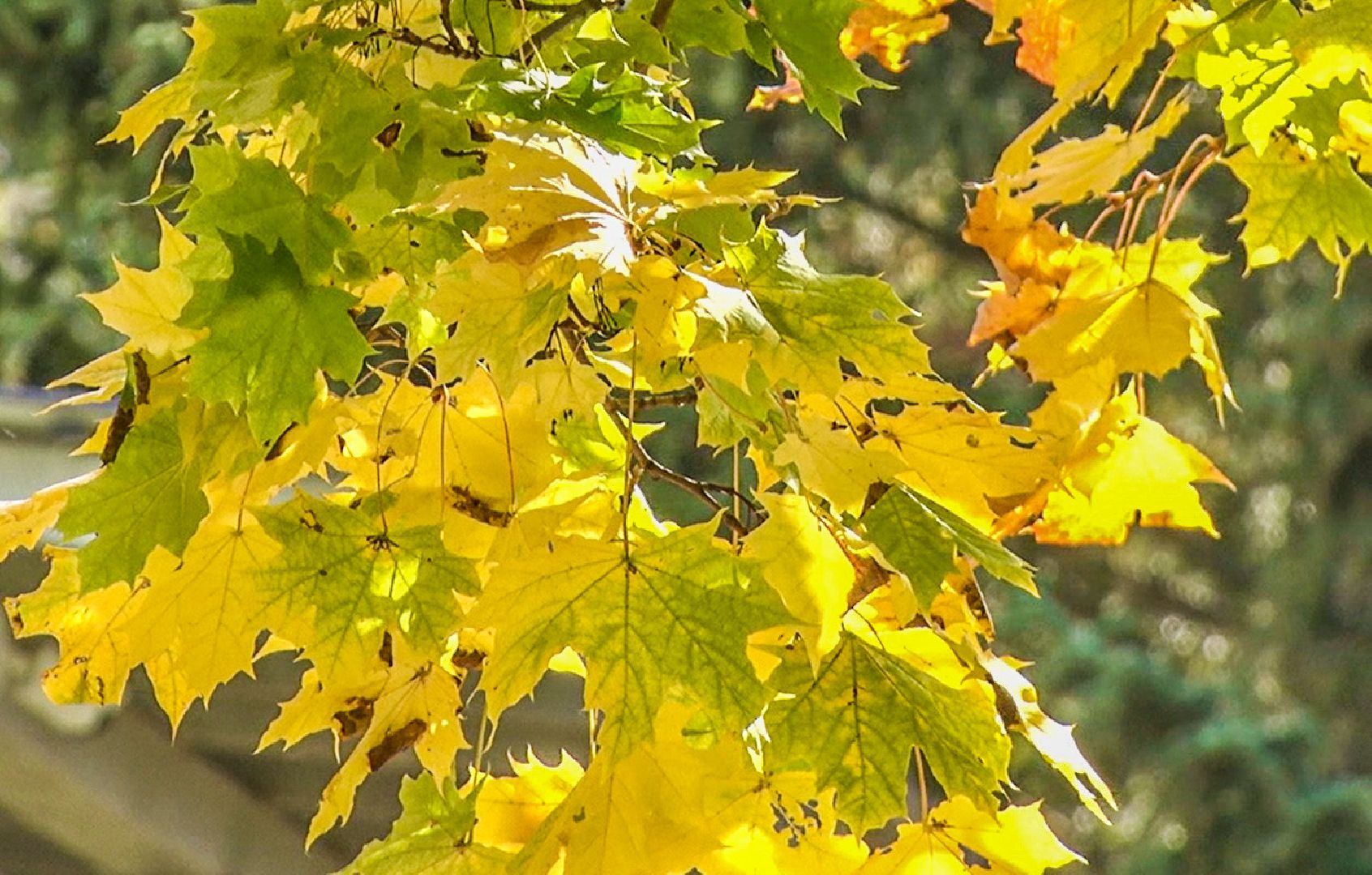 Клин, образование, детские сады, дети, общество,