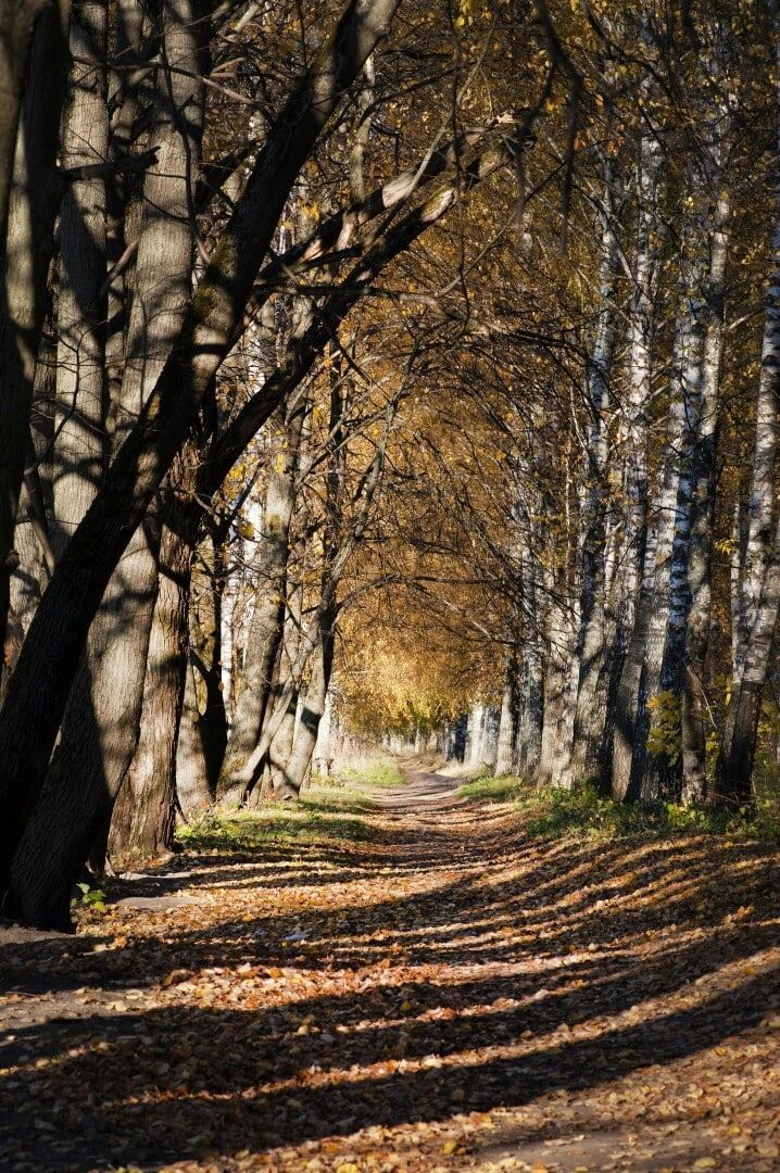 Звенигород, Туризм, Места для фотосессий, Красивые места Подмосковья,