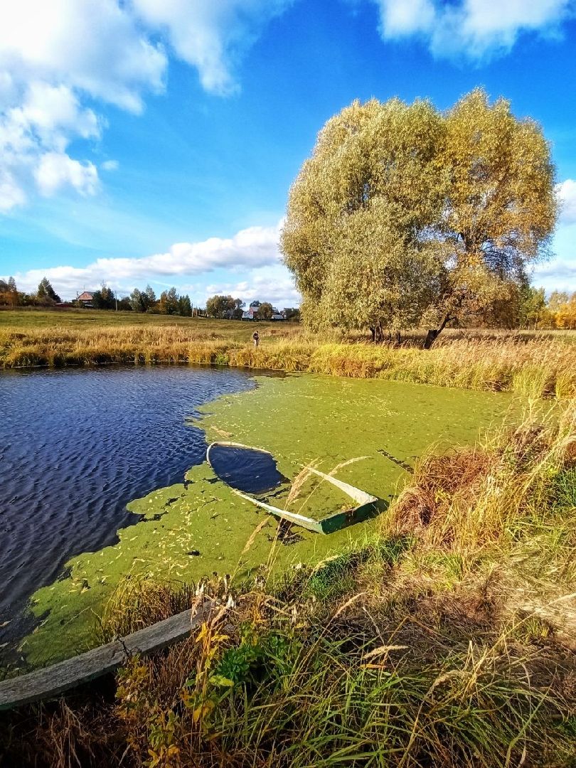 Звенигород, Туризм, Места для фотосессий, Красивые места Подмосковья,