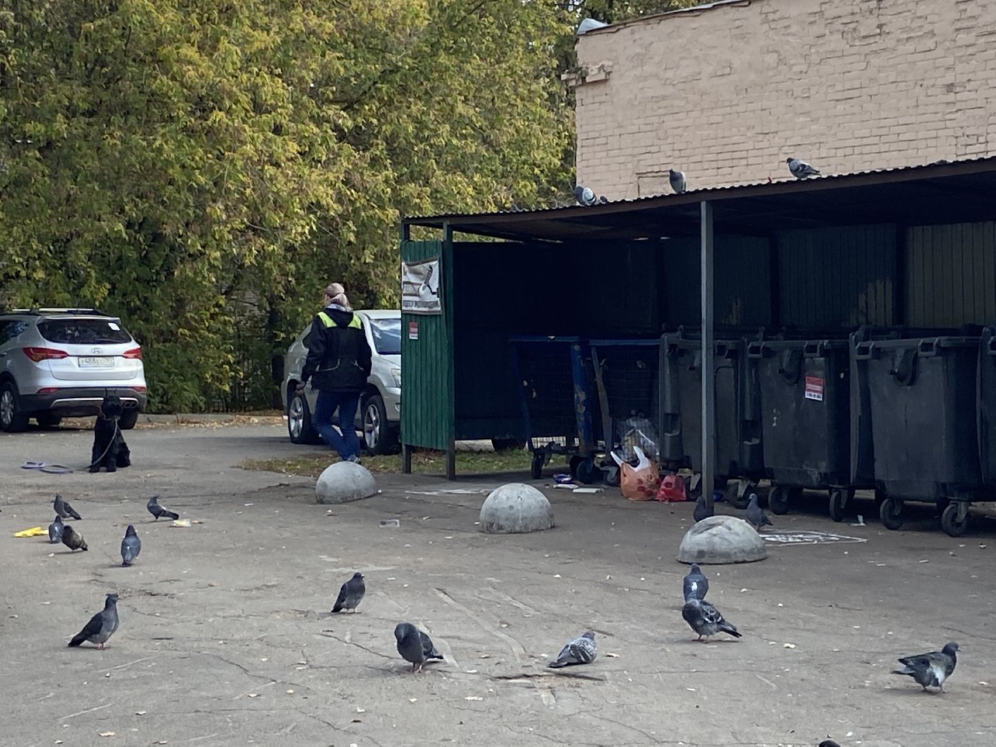 мусор, контейнерная площадка,