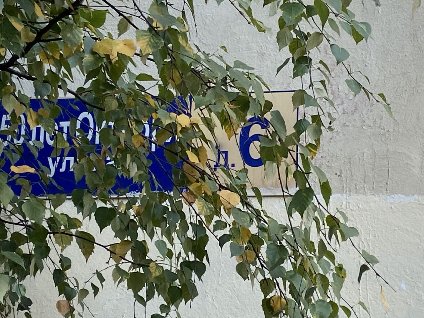 мусор, контейнерная площадка,