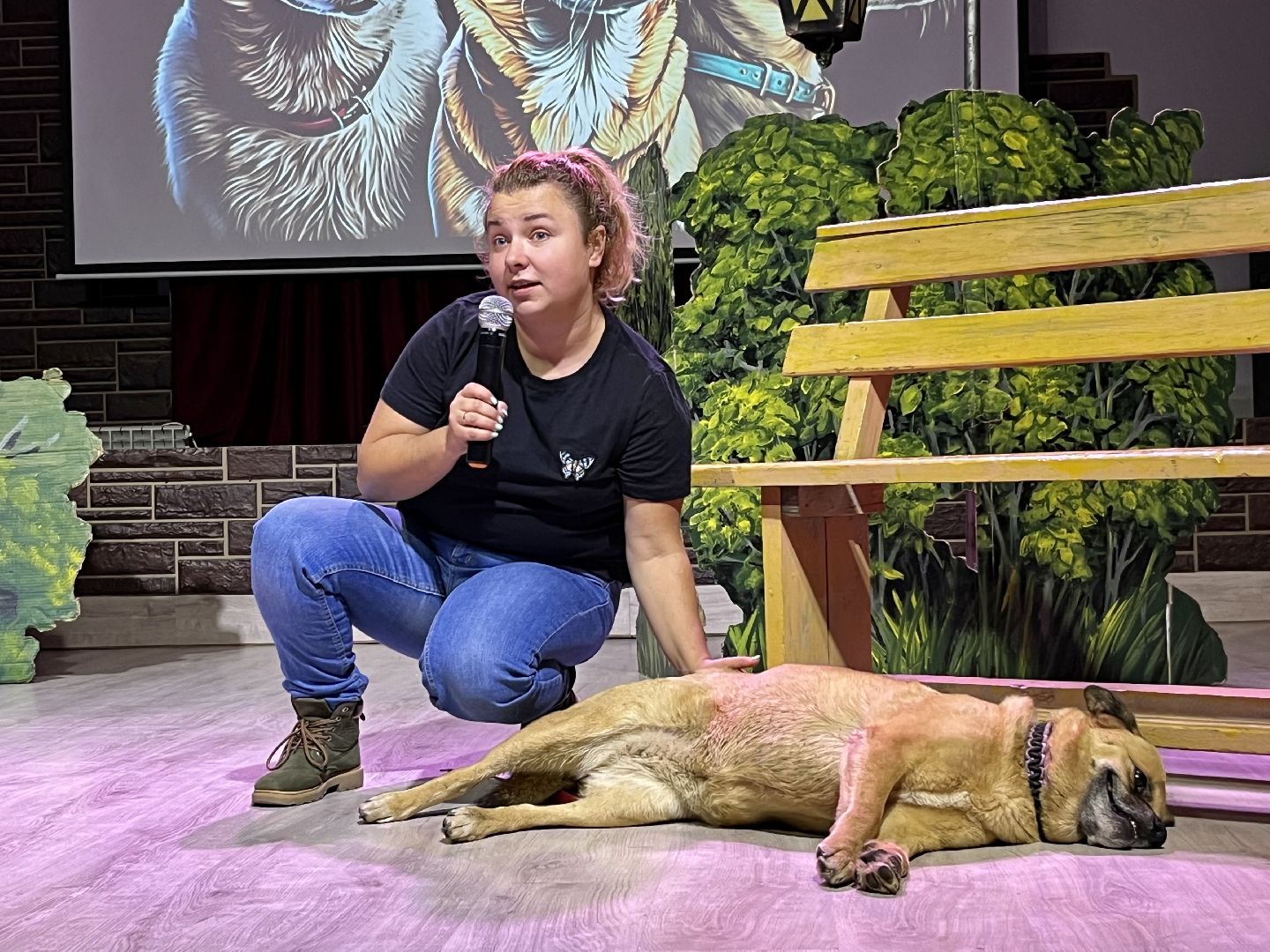 наро-фоминск, цдк звезда, приют беригиня, бездомные животные, благотворительая акция,