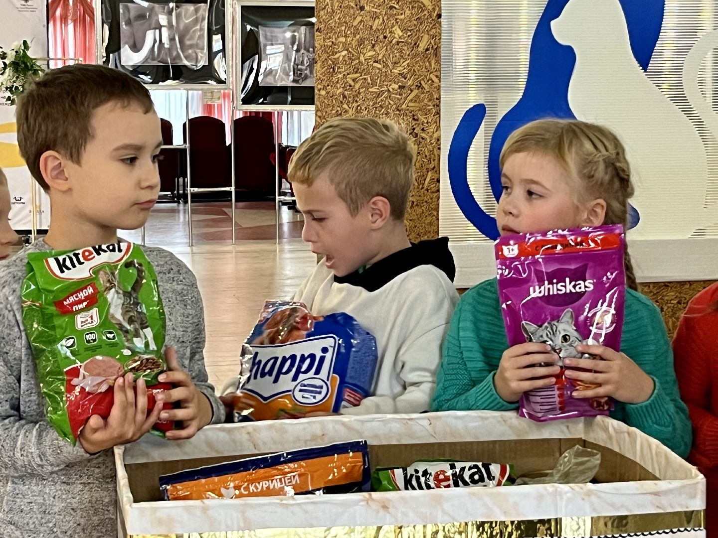 наро-фоминск, цдк звезда, приют беригиня, бездомные животные, благотворительая акция,