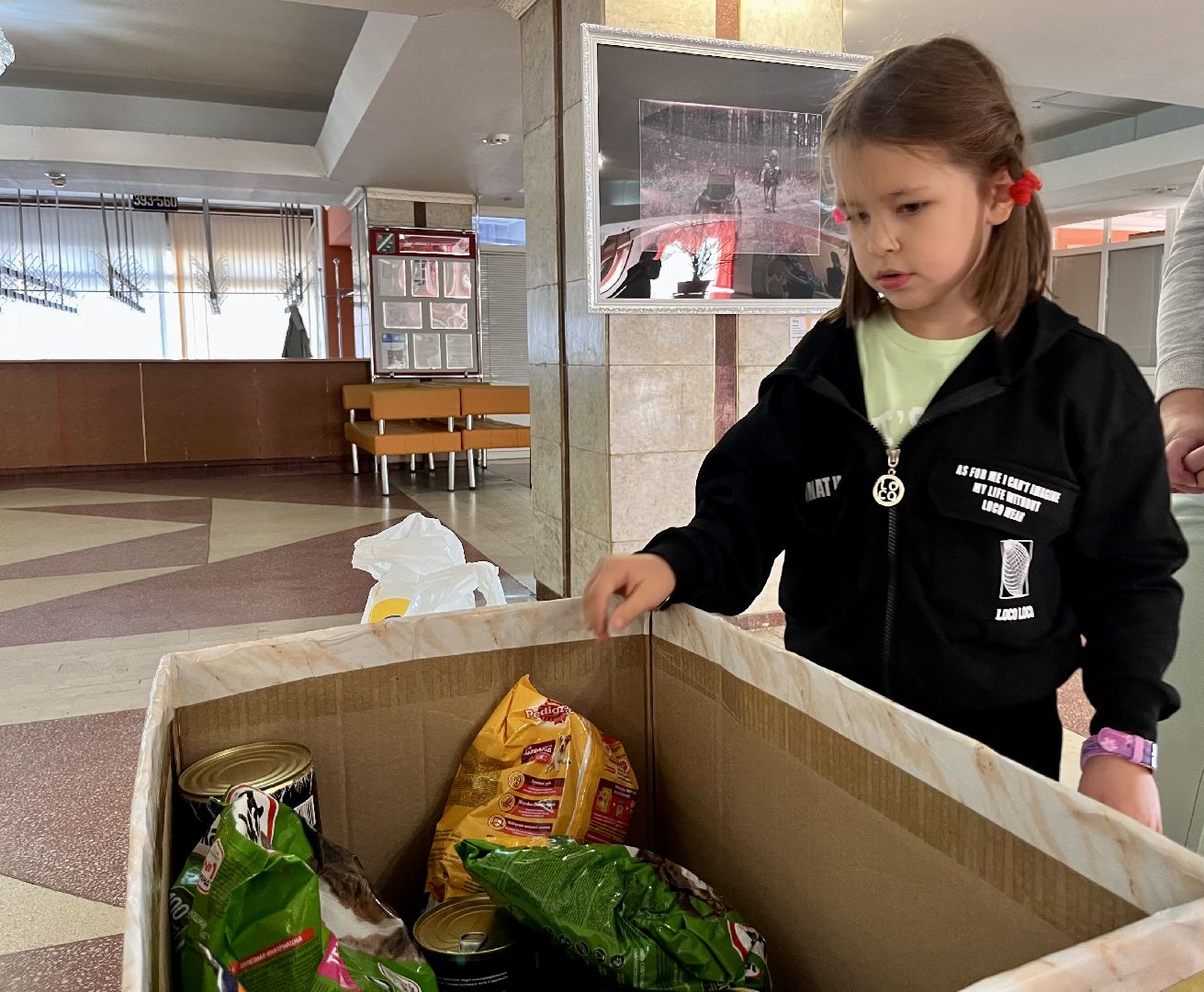 наро-фоминск, цдк звезда, приют беригиня, бездомные животные, благотворительая акция,