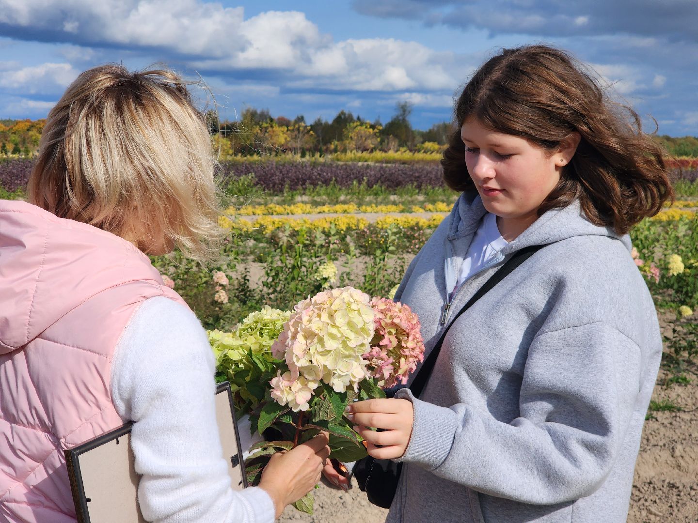 Егорьевск, образование, билет в будущее, профориентация, подмосковье, московская область,