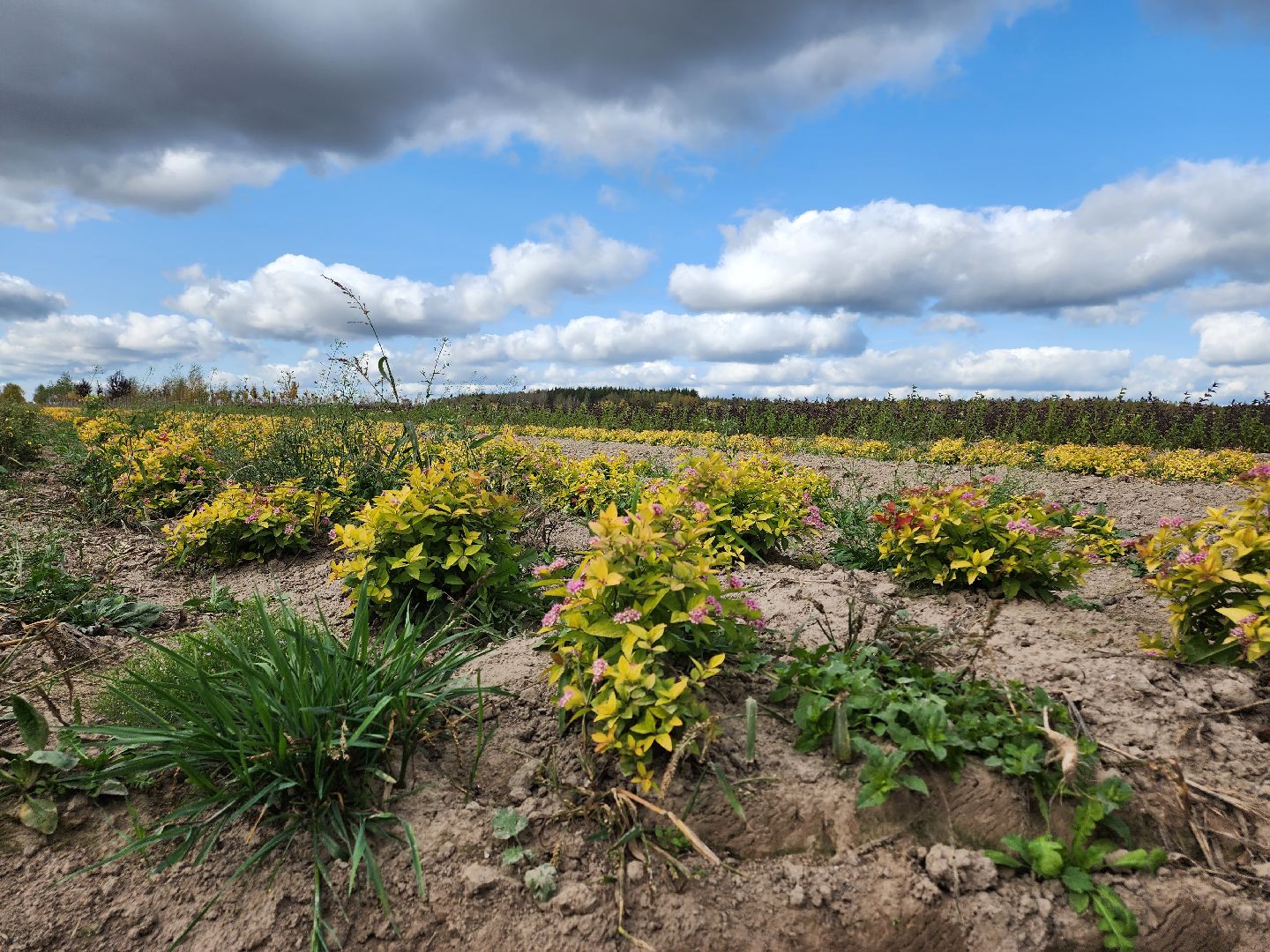 Егорьевск, образование, билет в будущее, профориентация, подмосковье, московская область,