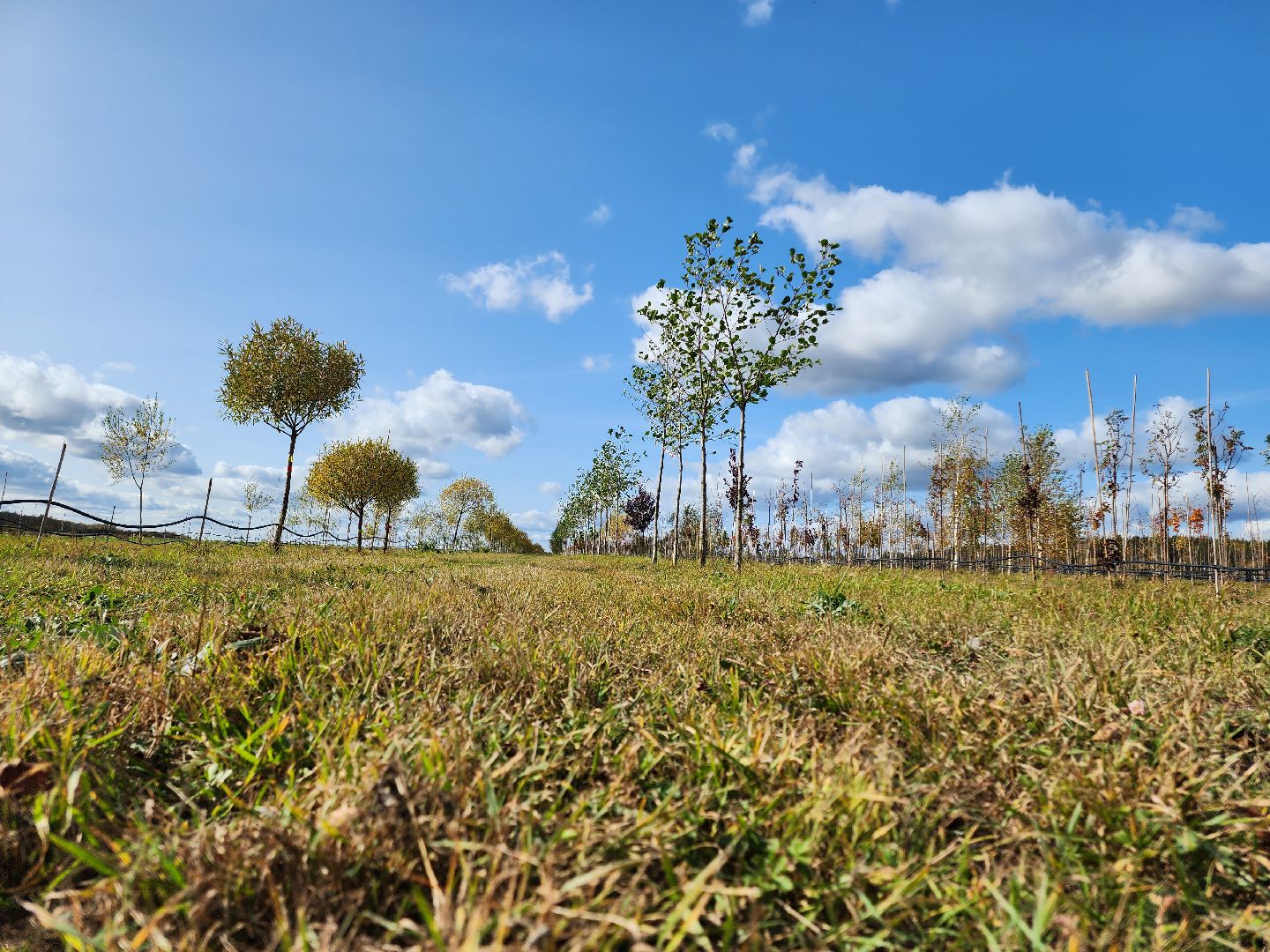 Егорьевск, образование, билет в будущее, профориентация, подмосковье, московская область,