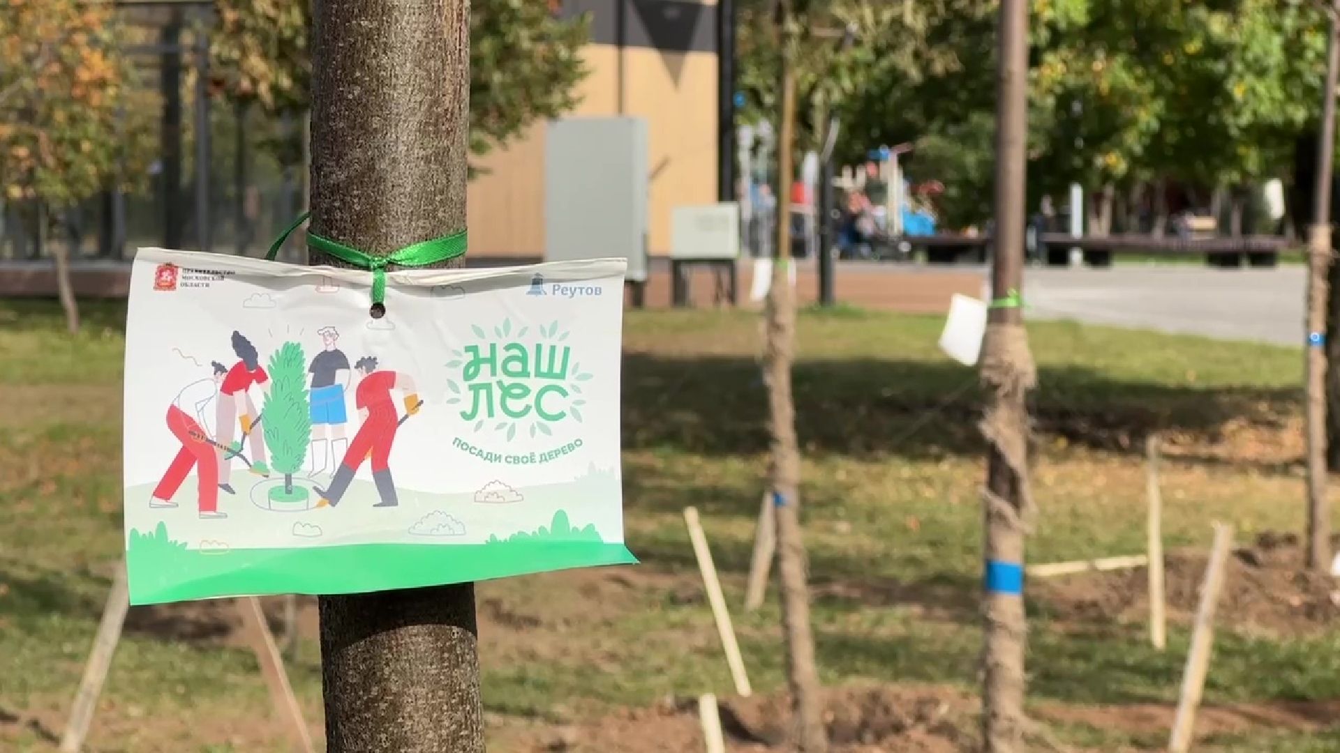 Реутов, парк, благоустройство, перголы, фонтан, деревья,