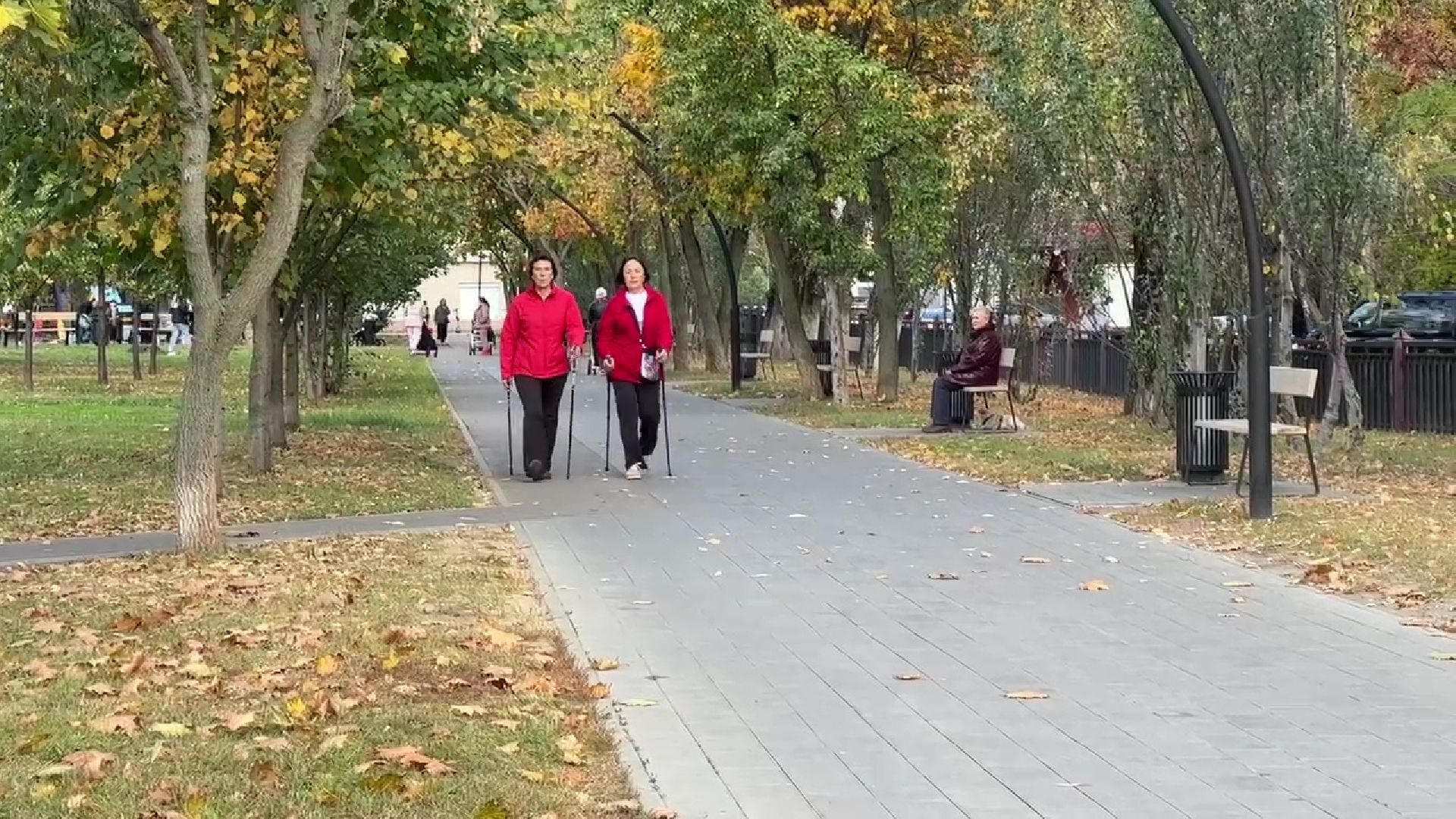 Реутов, парк, благоустройство, перголы, фонтан, деревья,