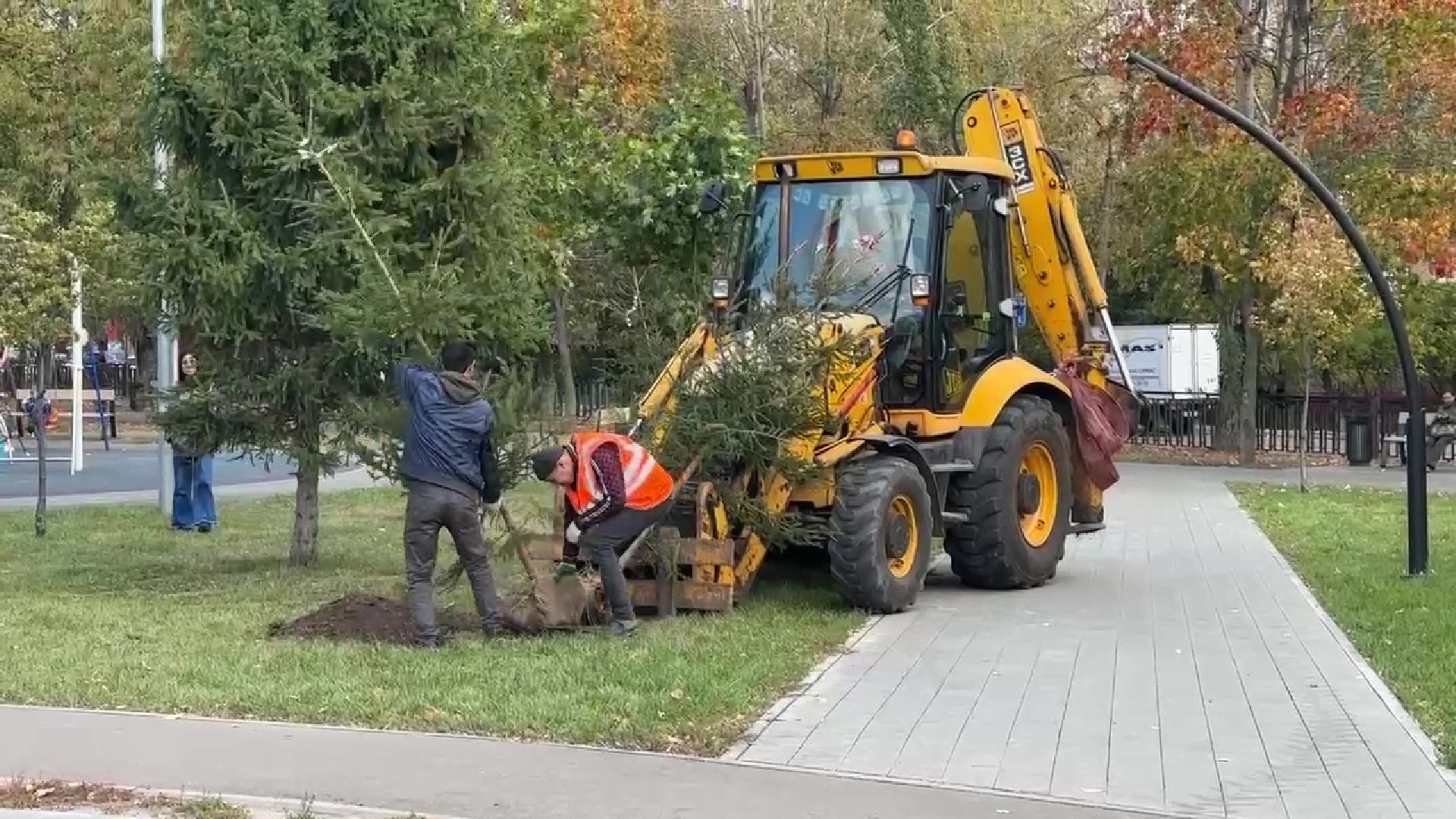 Реутов, парк, благоустройство, перголы, фонтан, деревья,