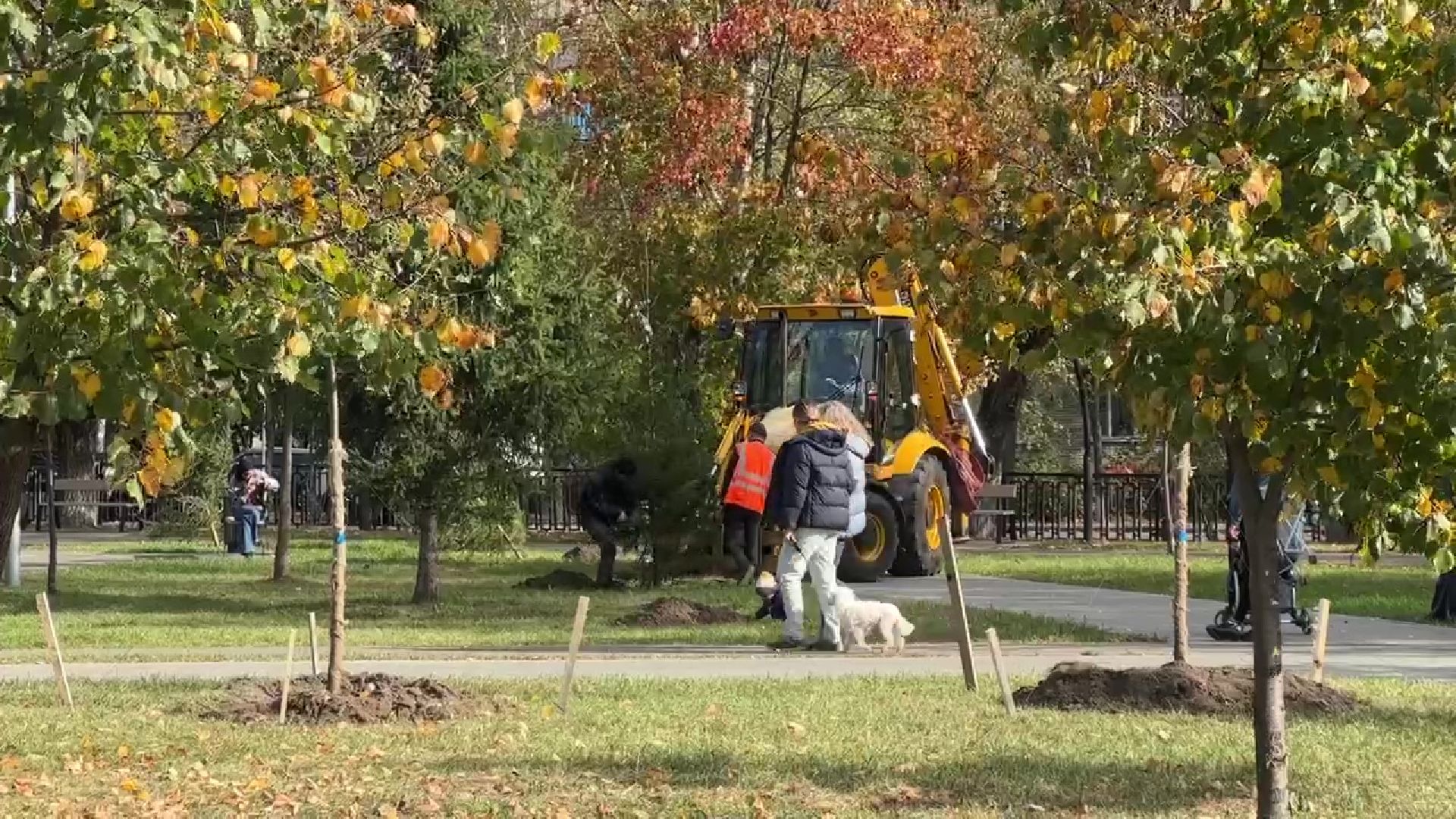 Реутов, парк, благоустройство, перголы, фонтан, деревья,
