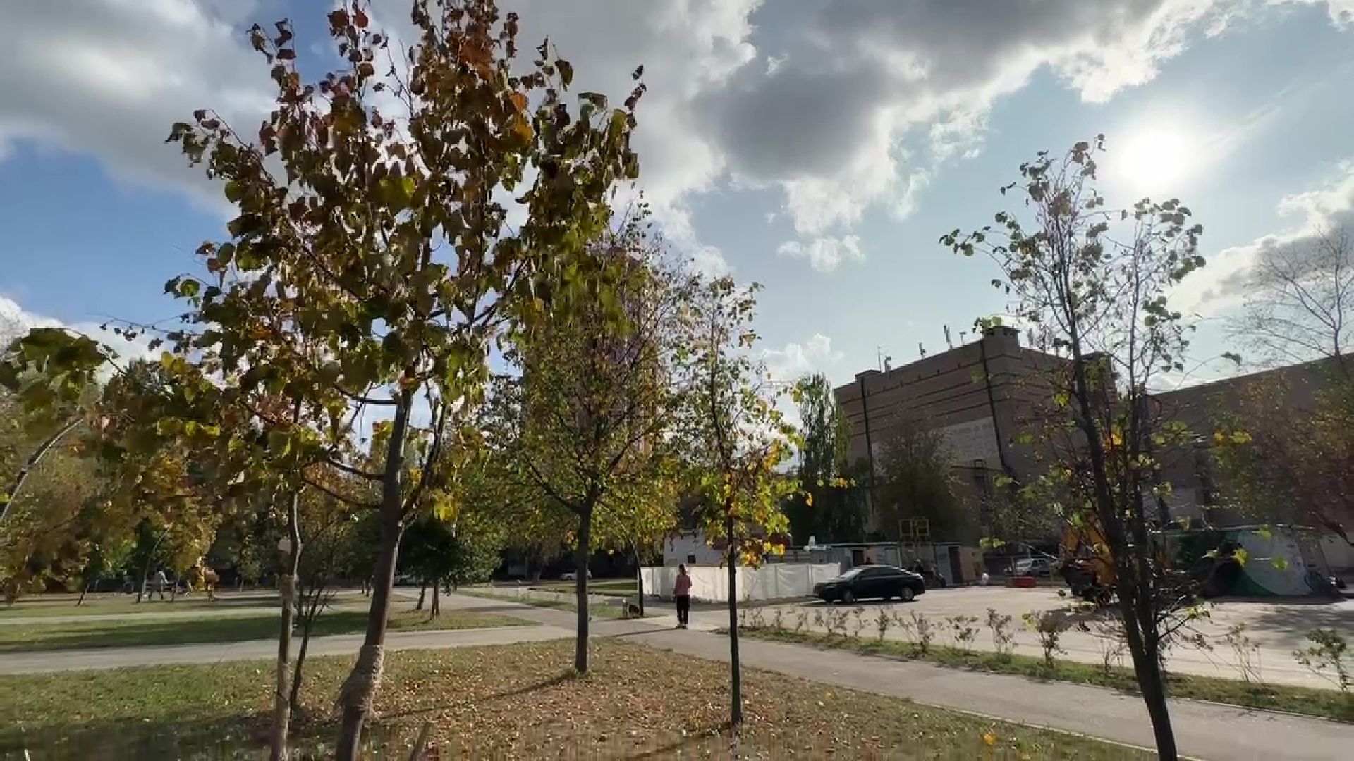 Реутов, парк, благоустройство, перголы, фонтан, деревья,