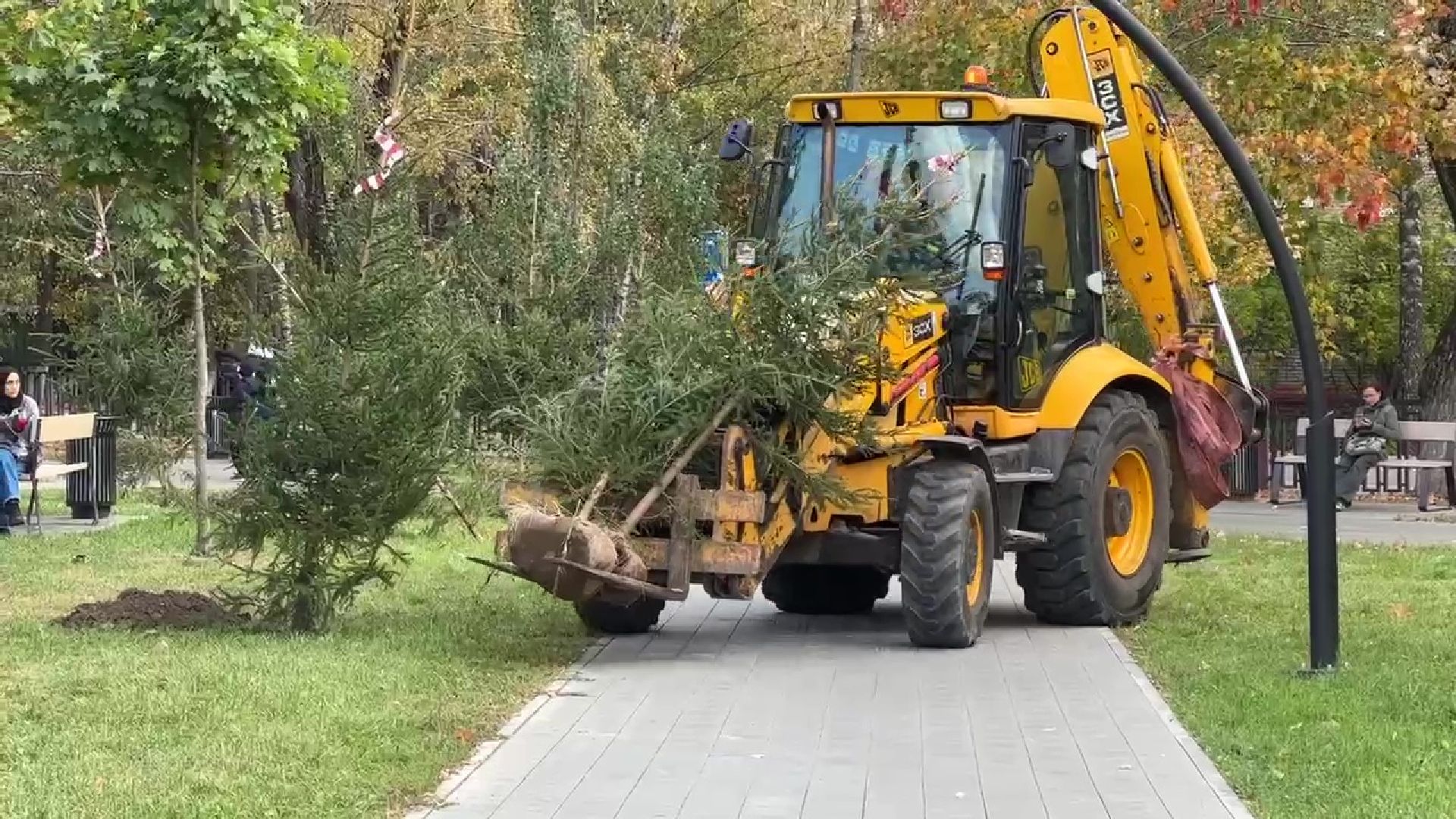 Реутов, парк, благоустройство, перголы, фонтан, деревья,