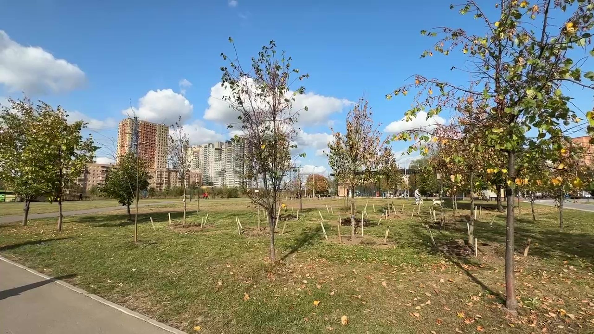 Реутов, парк, благоустройство, перголы, фонтан, деревья,