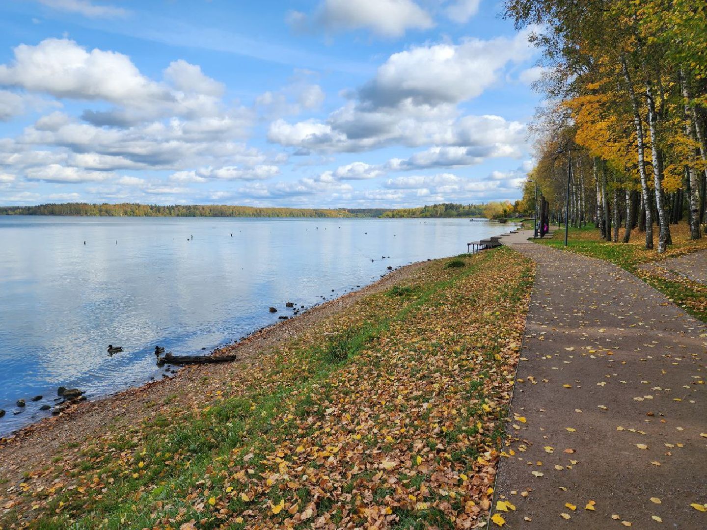 Солнечногорск, Набережная, Озеро, Сенеж, Жители, Прогулка, туризм, туризм в подмосковье, подмосковье, реутов, сергиев посад, подольск,