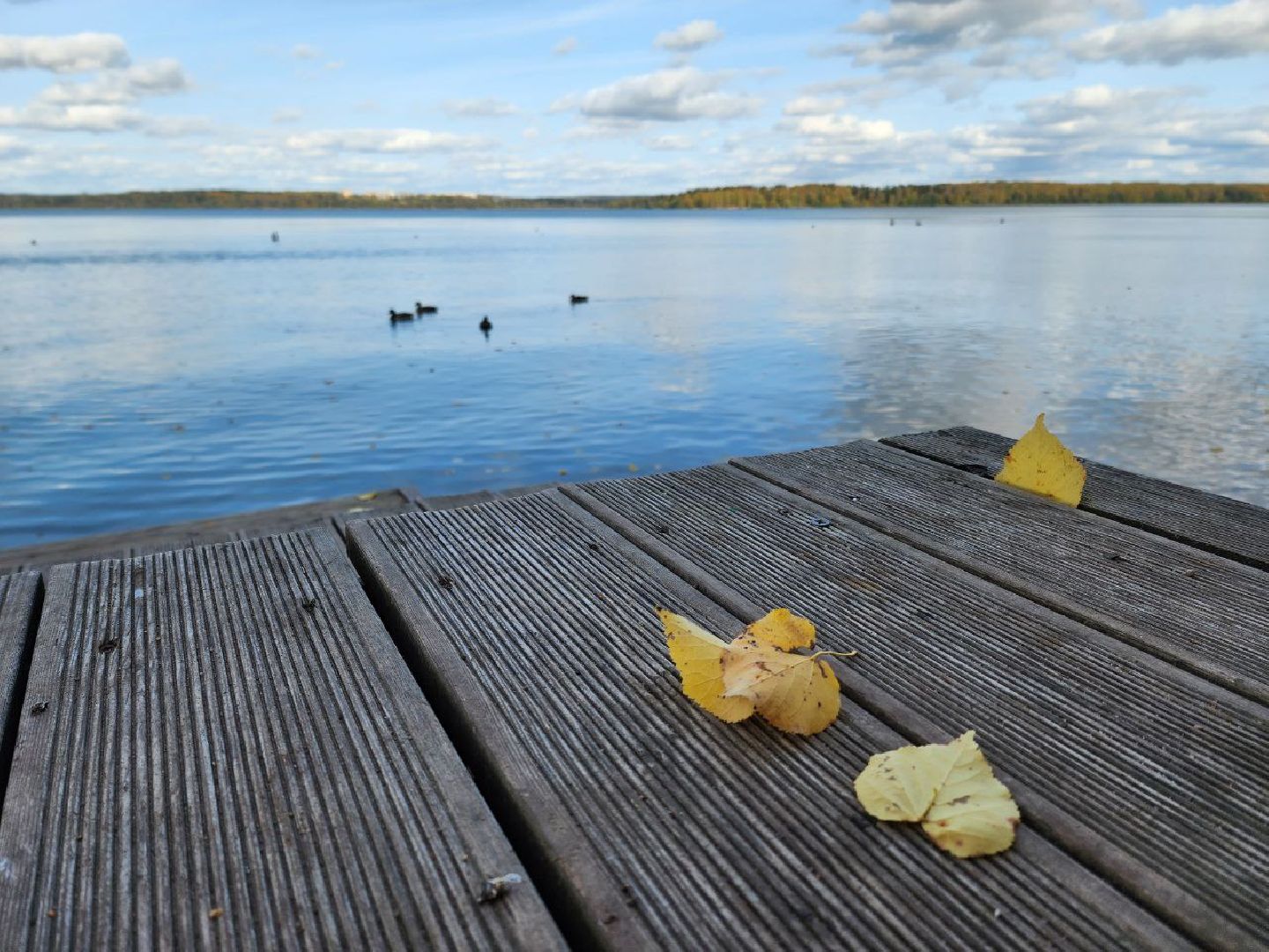 Солнечногорск, Набережная, Озеро, Сенеж, Жители, Прогулка, туризм, туризм в подмосковье, подмосковье, реутов, сергиев посад, подольск,