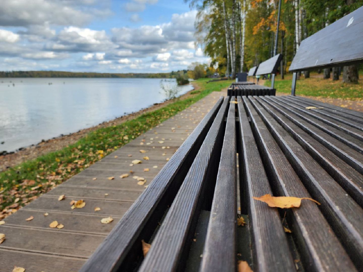 Солнечногорск, Набережная, Озеро, Сенеж, Жители, Прогулка, туризм, туризм в подмосковье, подмосковье, реутов, сергиев посад, подольск,