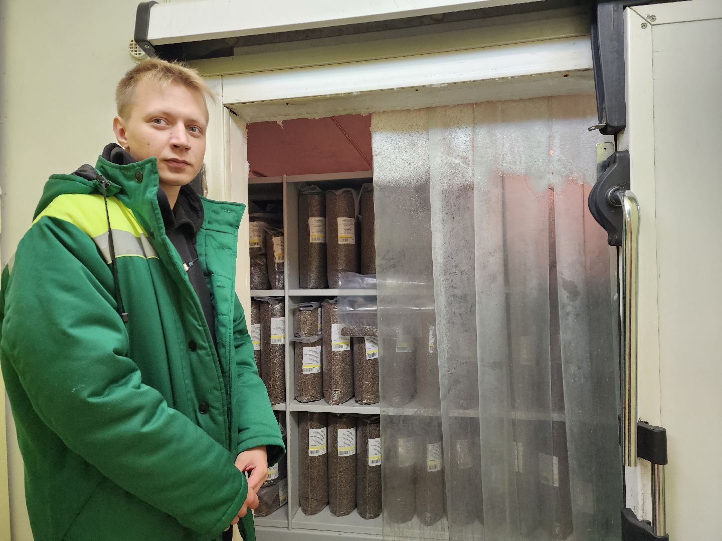 пушкино, лес, технологии, природа,