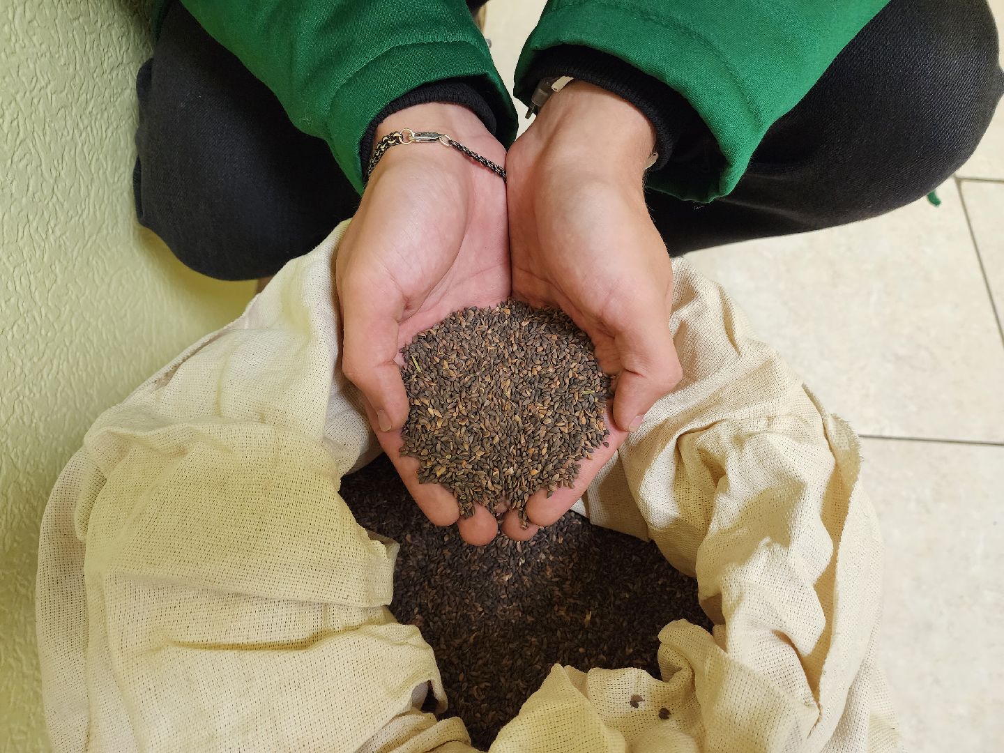 пушкино, лес, технологии, природа,