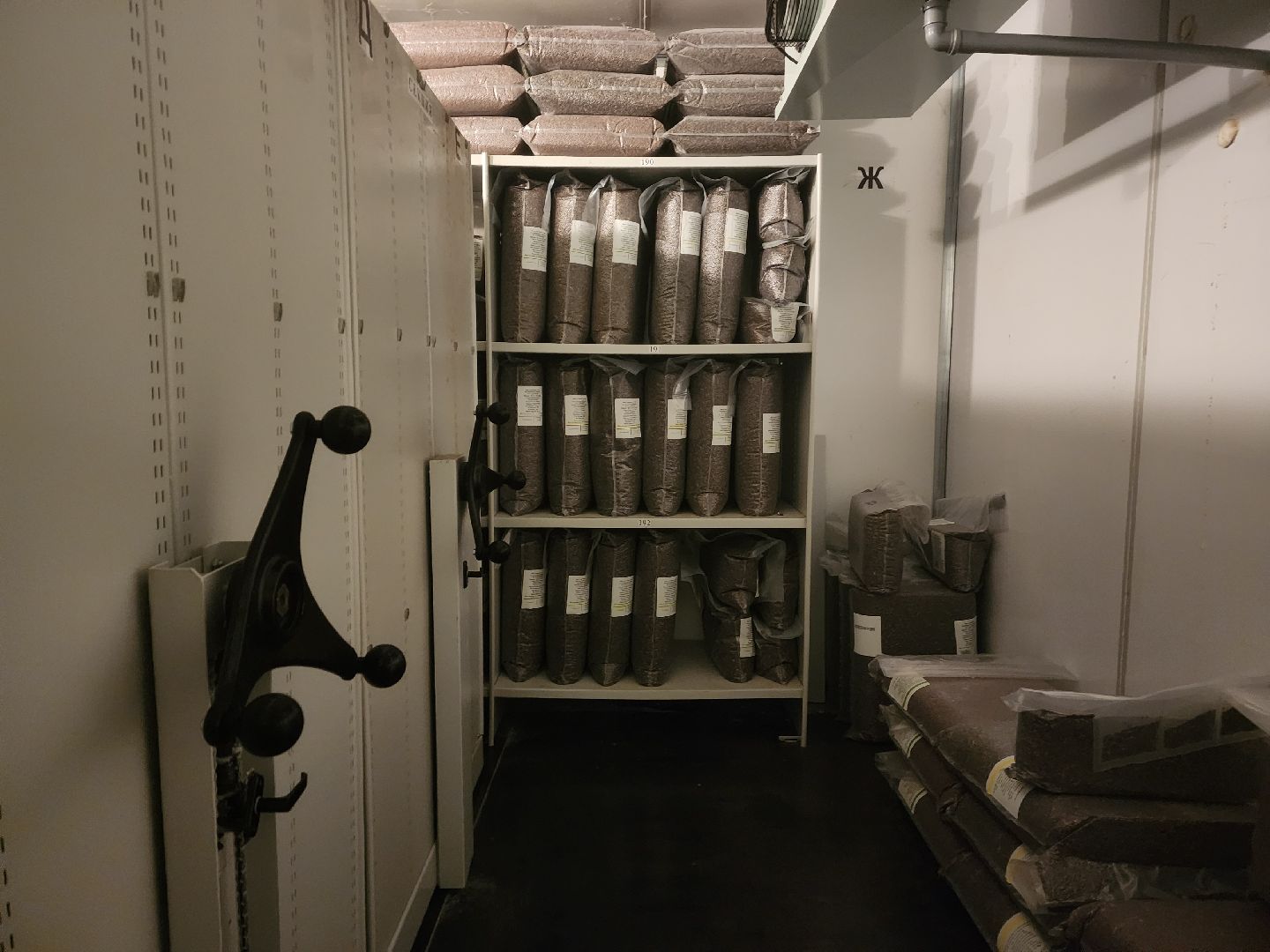 пушкино, лес, технологии, природа,