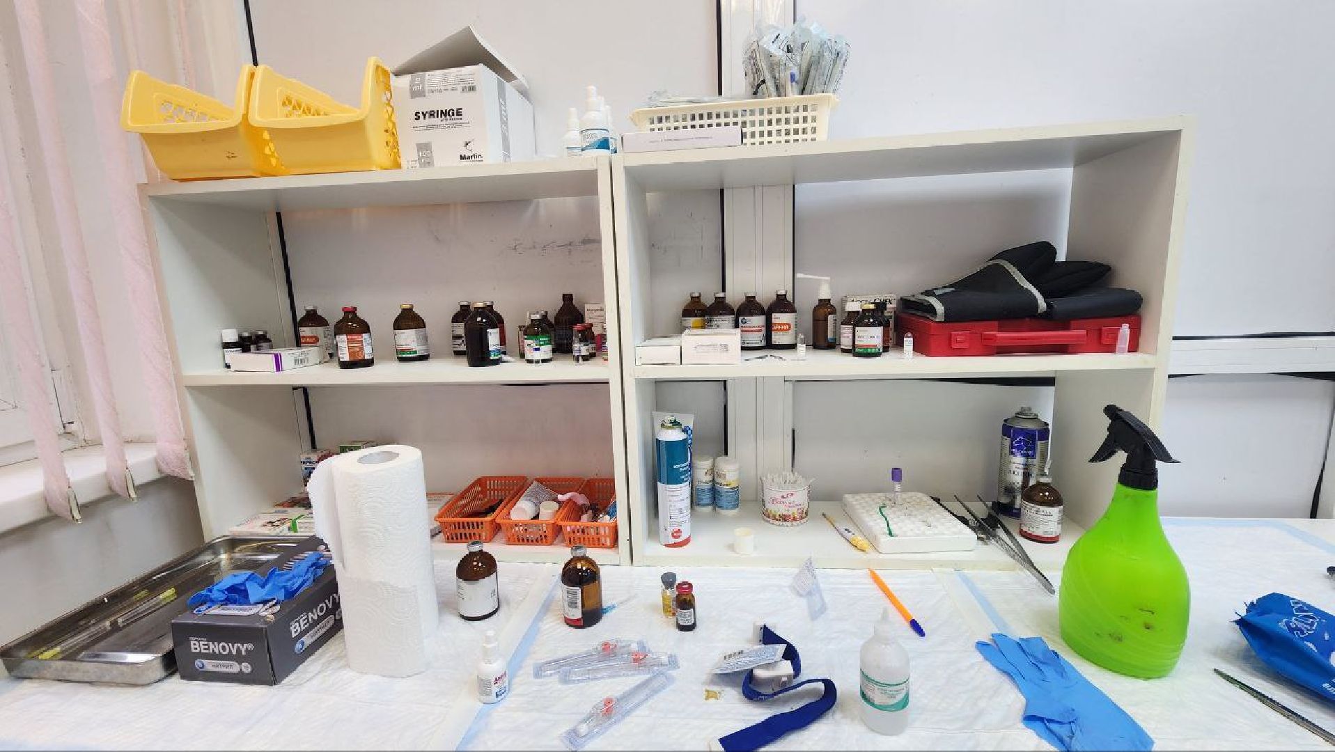 Дмитров, Ветстанция, Чипирование, Минсельхоз,