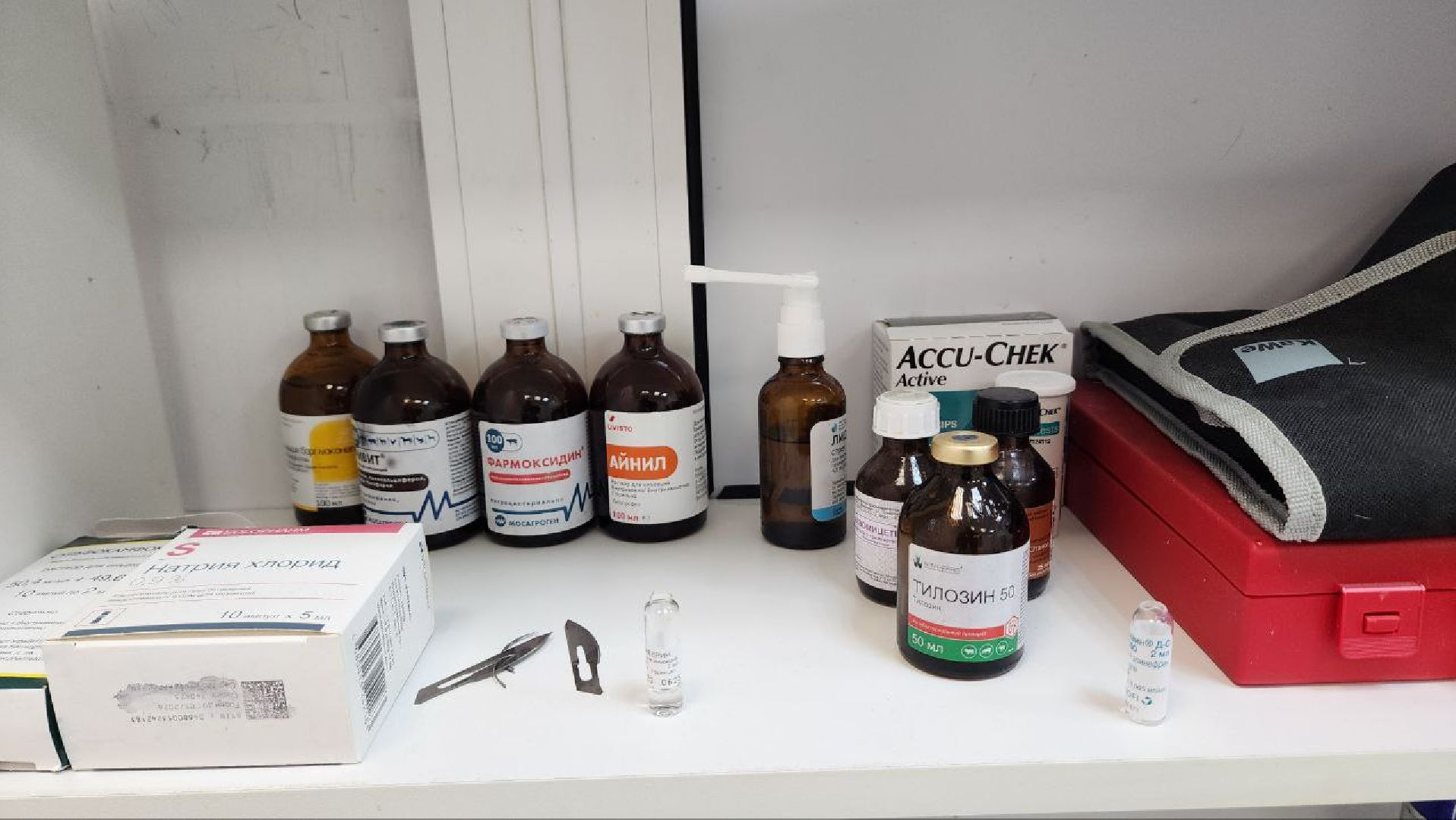 Дмитров, Ветстанция, Чипирование, Минсельхоз,