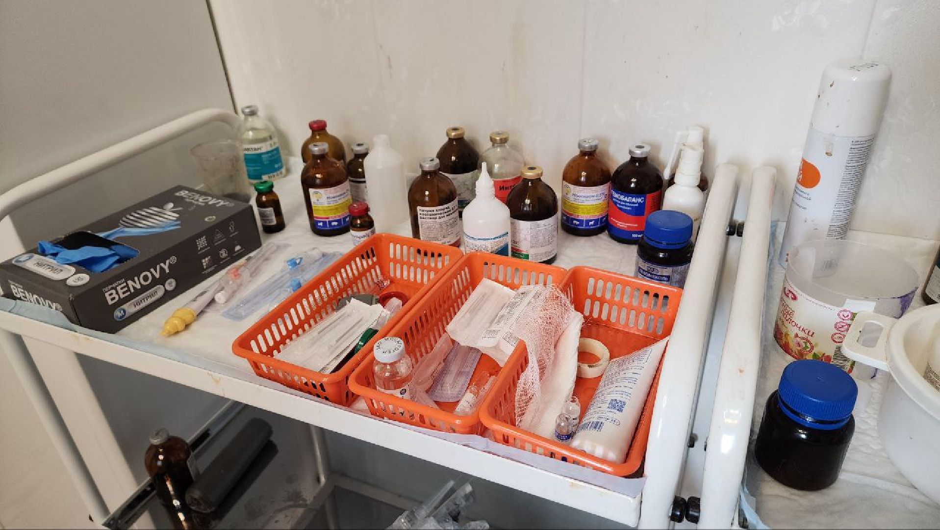 Дмитров, Ветстанция, Чипирование, Минсельхоз,