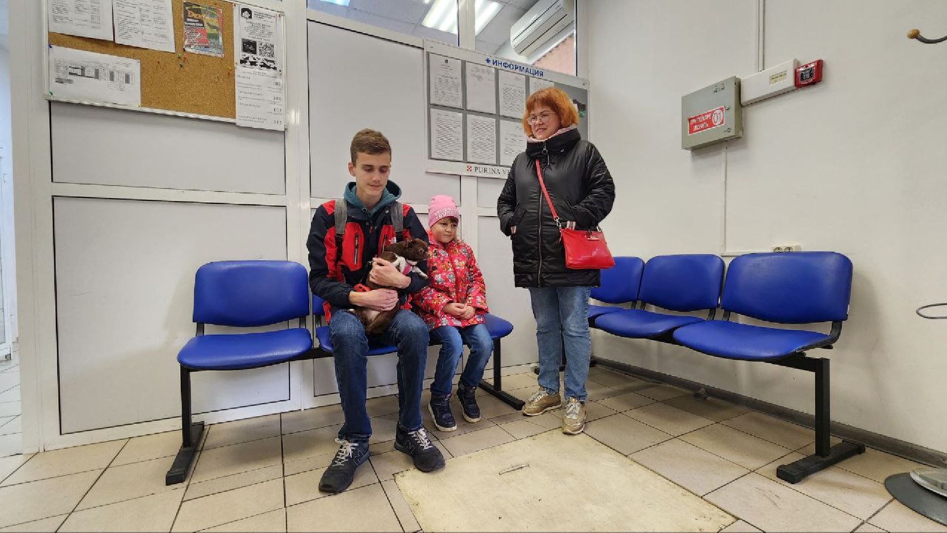 Дмитров, Ветстанция, Чипирование, Минсельхоз,