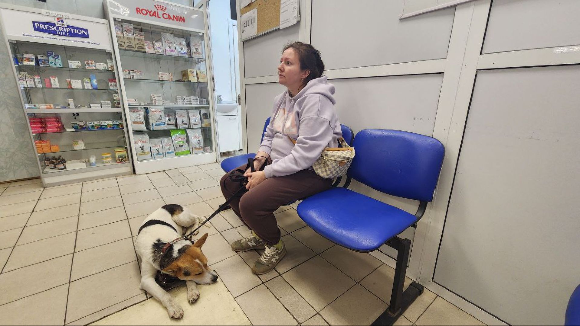 Дмитров, Ветстанция, Чипирование, Минсельхоз,