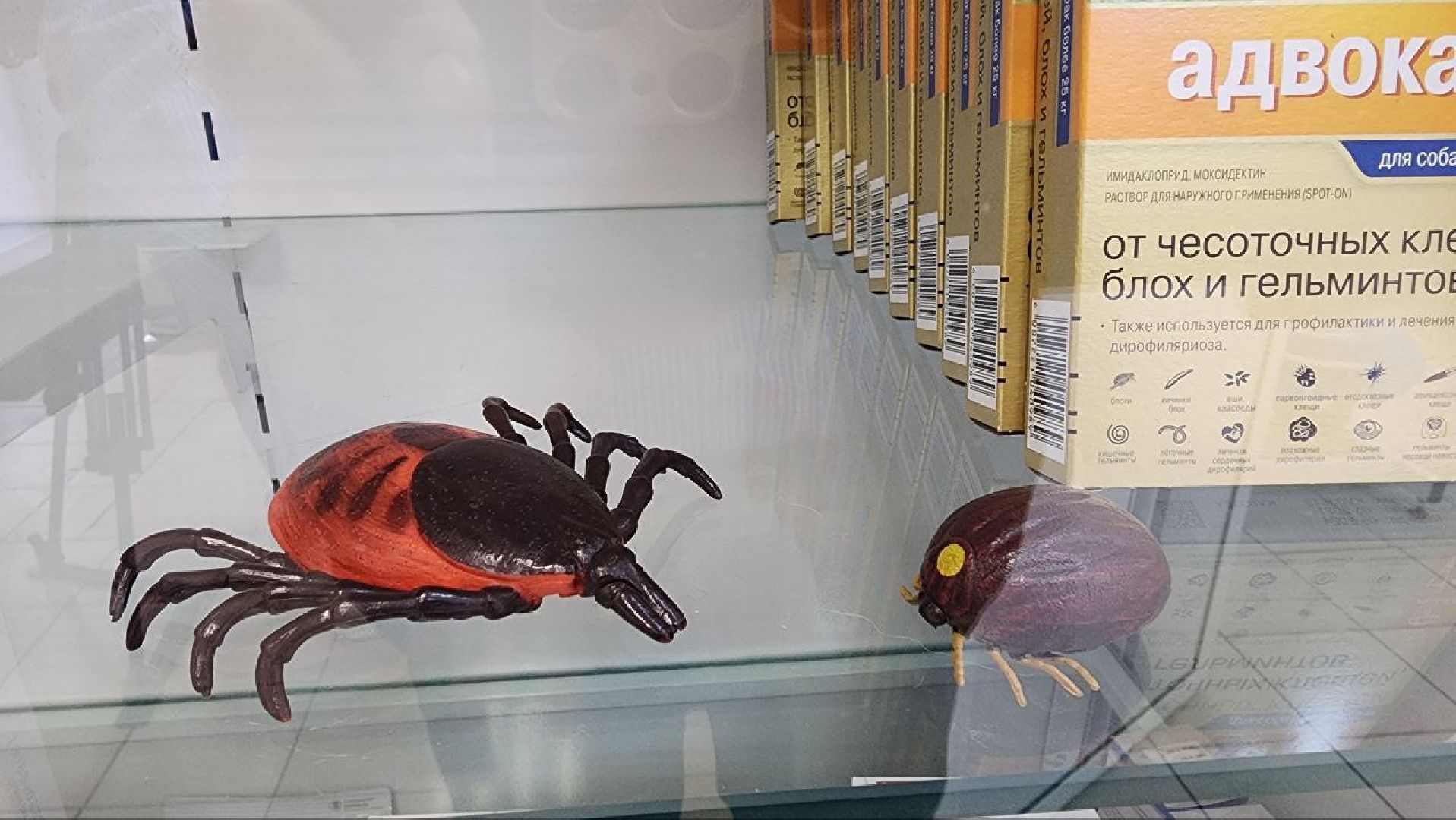 Дмитров, Ветстанция, Чипирование, Минсельхоз,