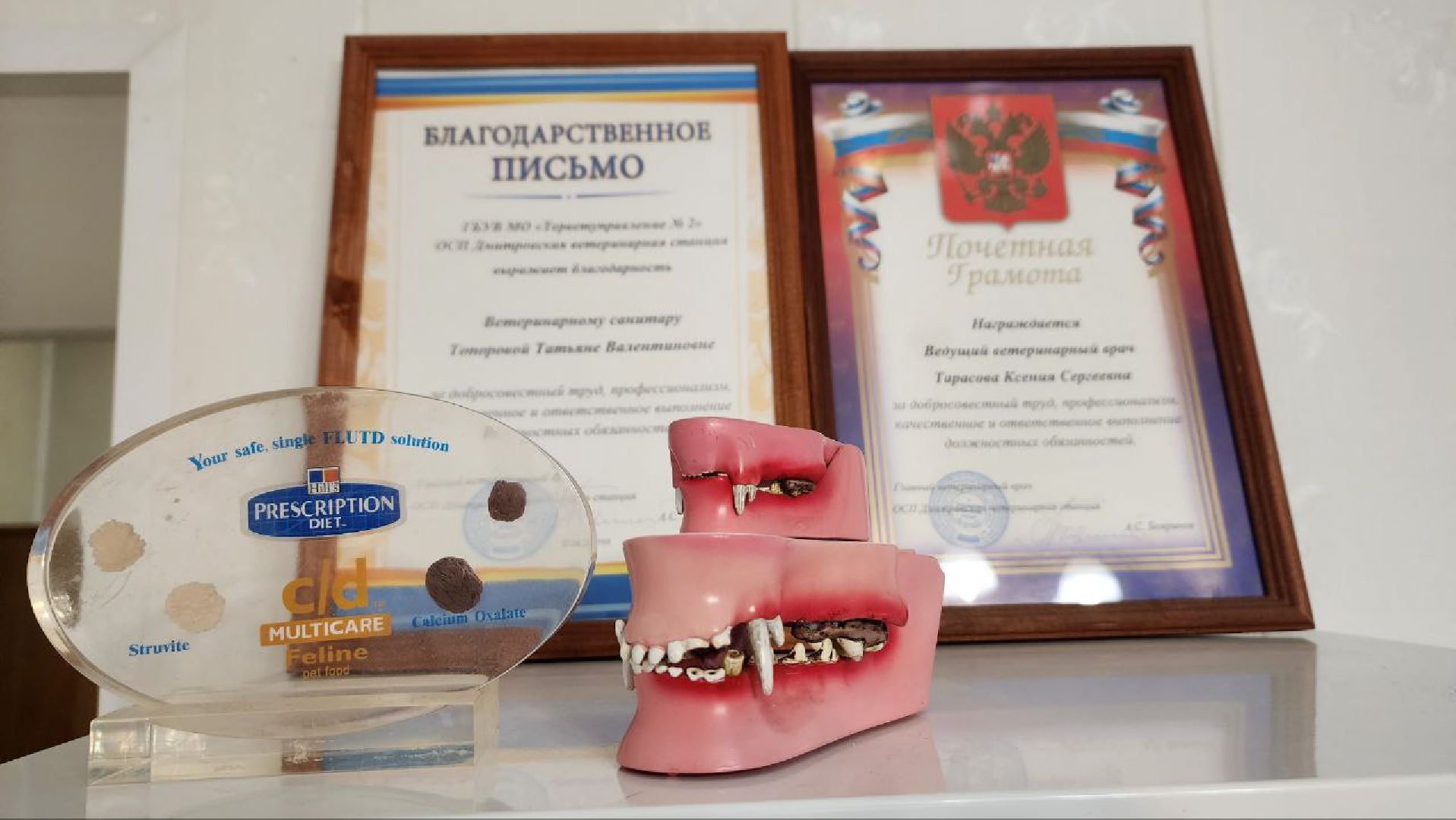 Дмитров, Ветстанция, Чипирование, Минсельхоз,