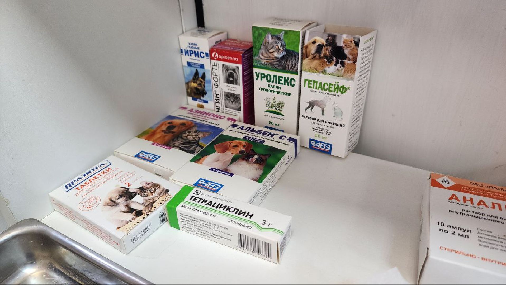 Дмитров, Ветстанция, Чипирование, Минсельхоз,