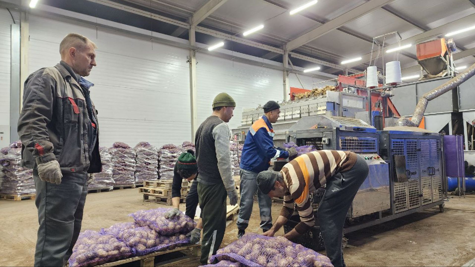 Дмитров, Мосагрофуд, Минсельхоз,