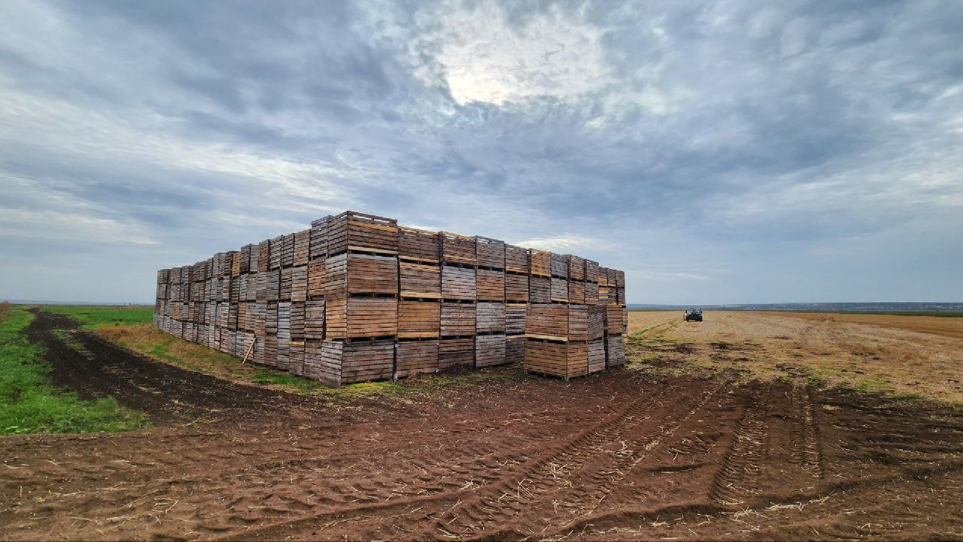 Дмитров, Мосагрофуд, Минсельхоз,