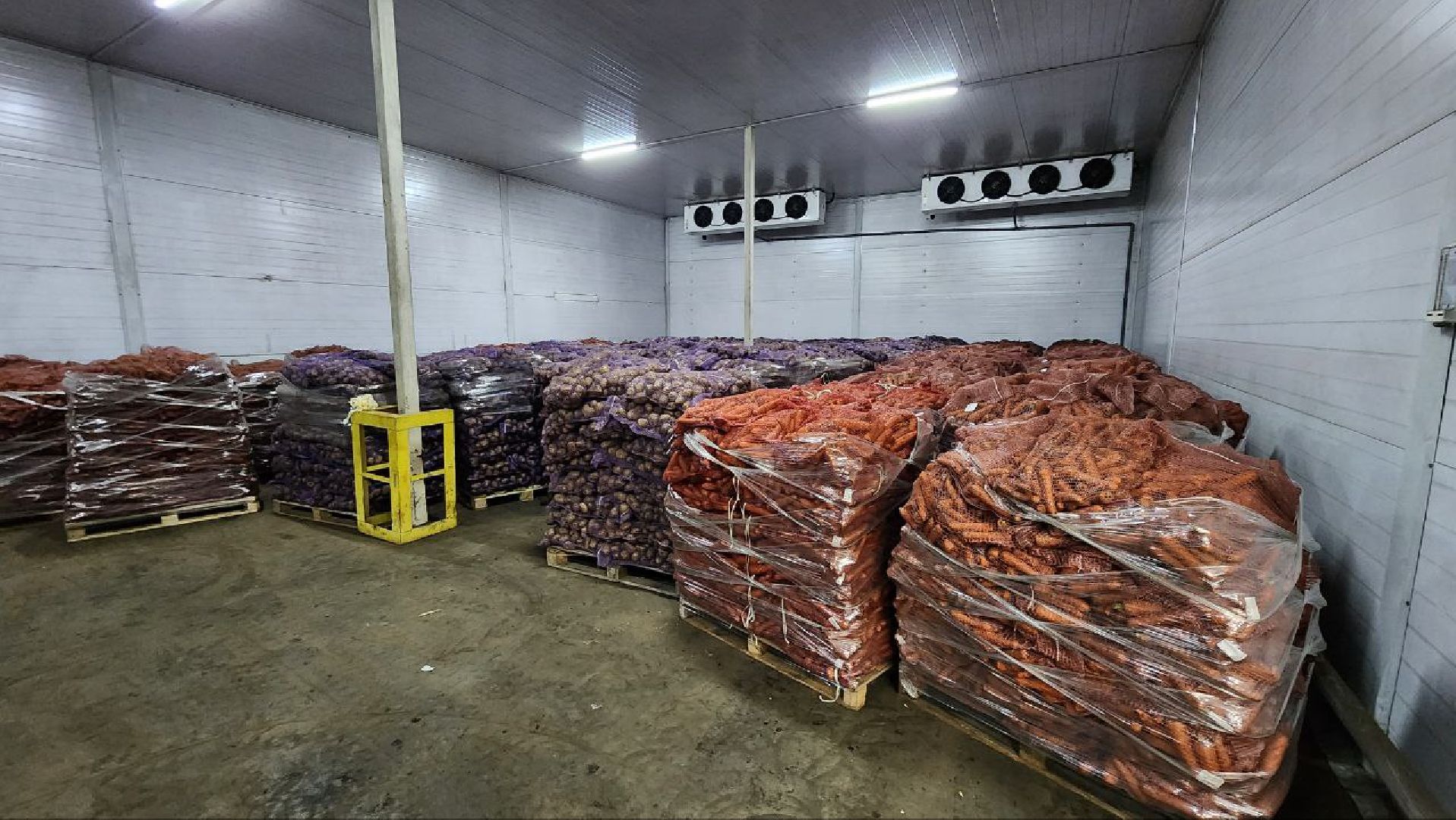 Дмитров, Мосагрофуд, Минсельхоз,