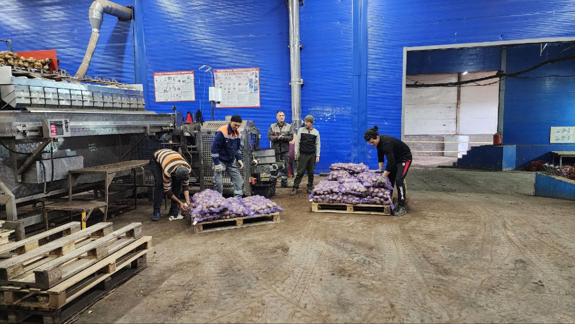 Дмитров, Мосагрофуд, Минсельхоз,