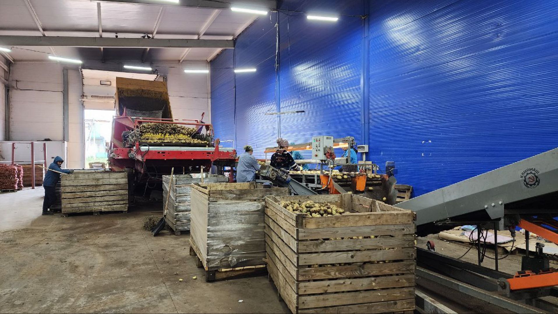 Дмитров, Мосагрофуд, Минсельхоз,