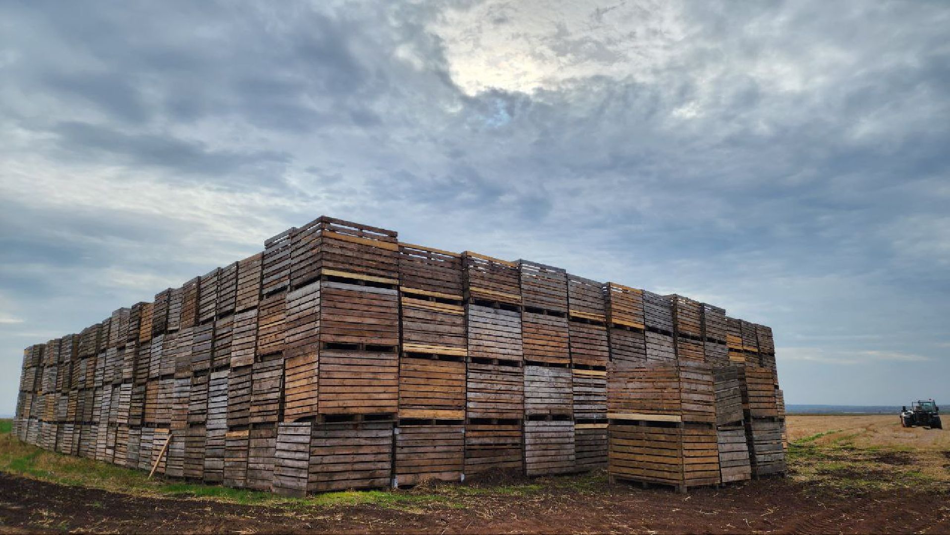 Дмитров, Мосагрофуд, Минсельхоз,