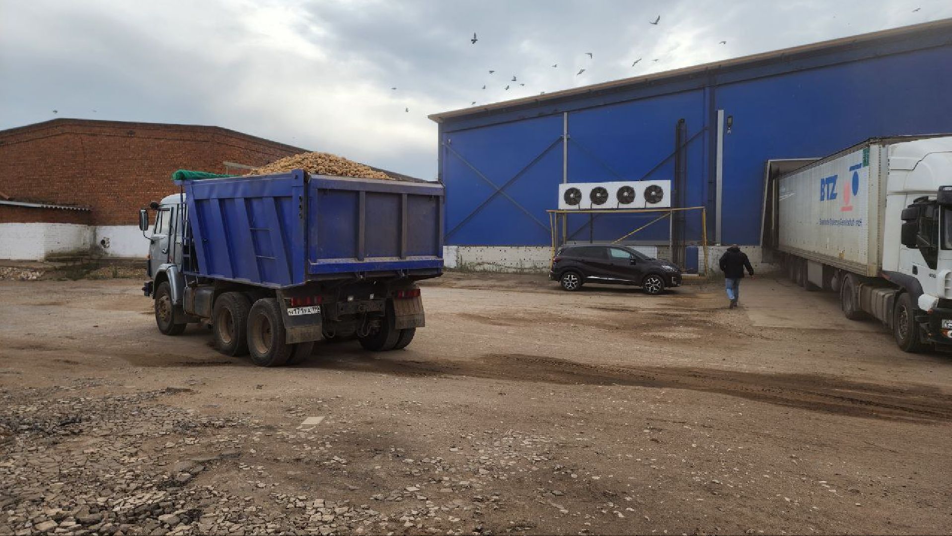 Дмитров, Мосагрофуд, Минсельхоз,