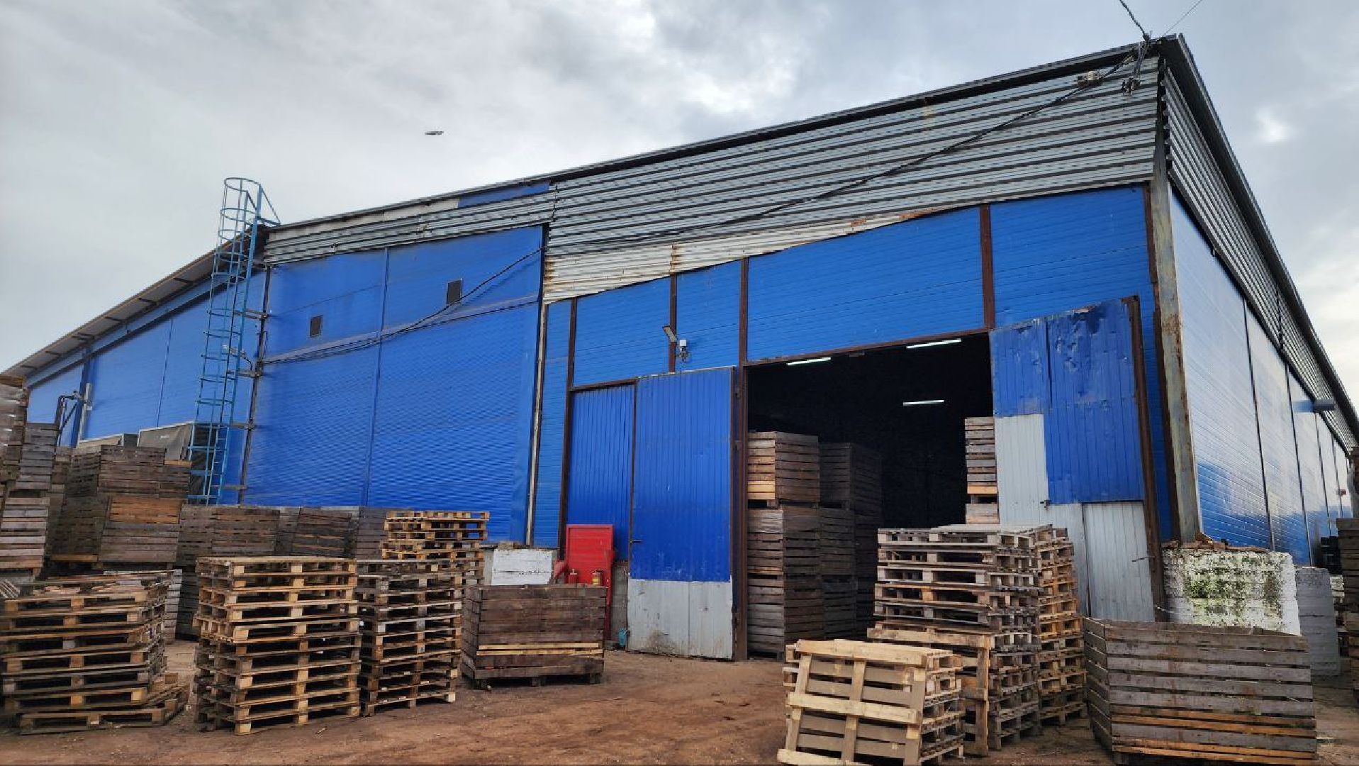 Дмитров, Мосагрофуд, Минсельхоз,