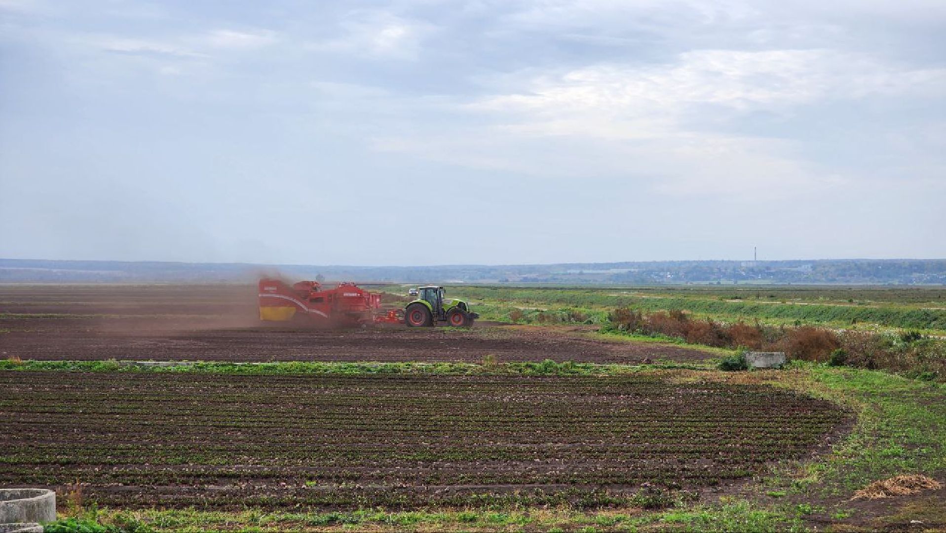 Дмитров, Мосагрофуд, Минсельхоз,