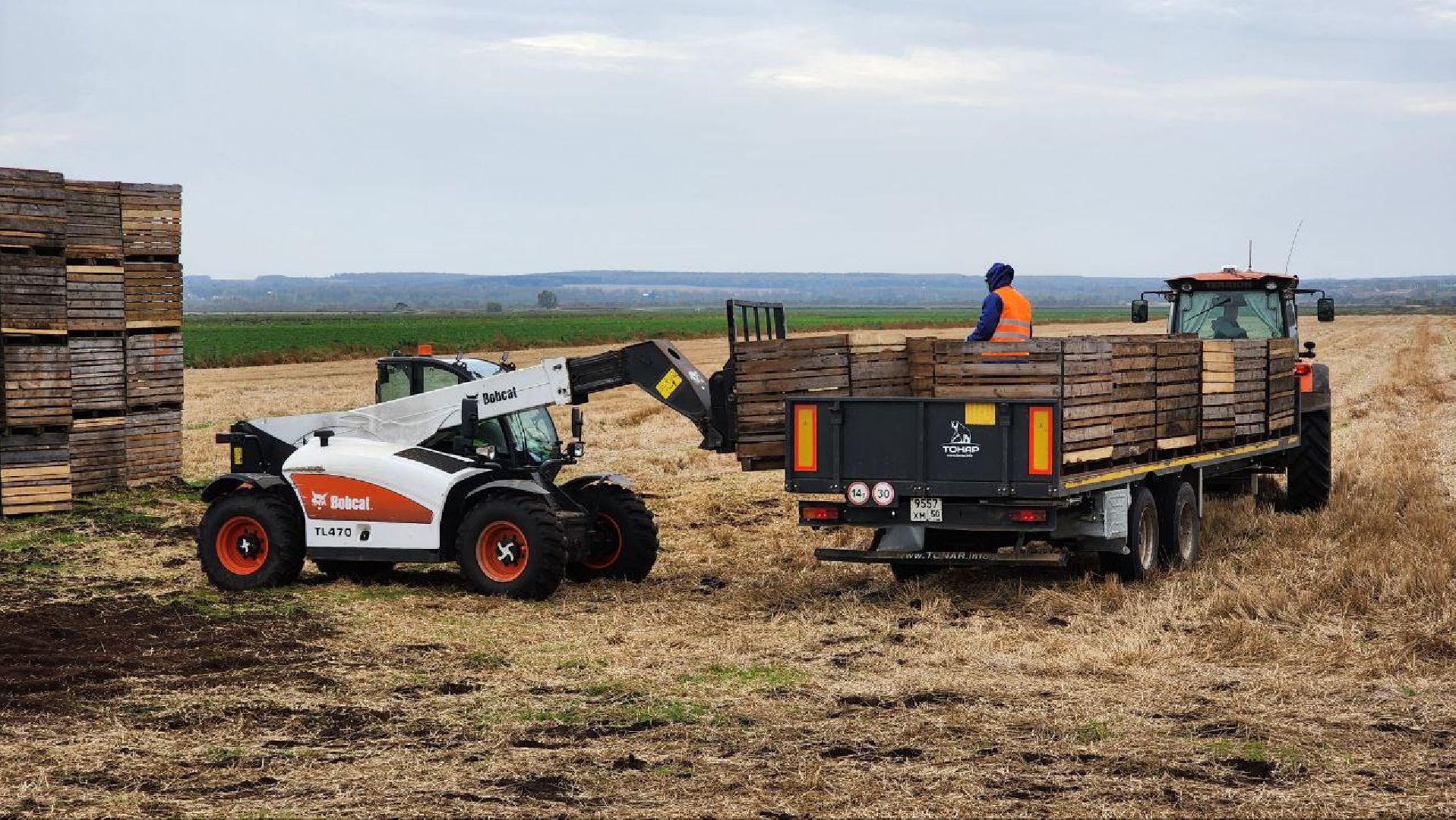 Дмитров, Мосагрофуд, Минсельхоз,