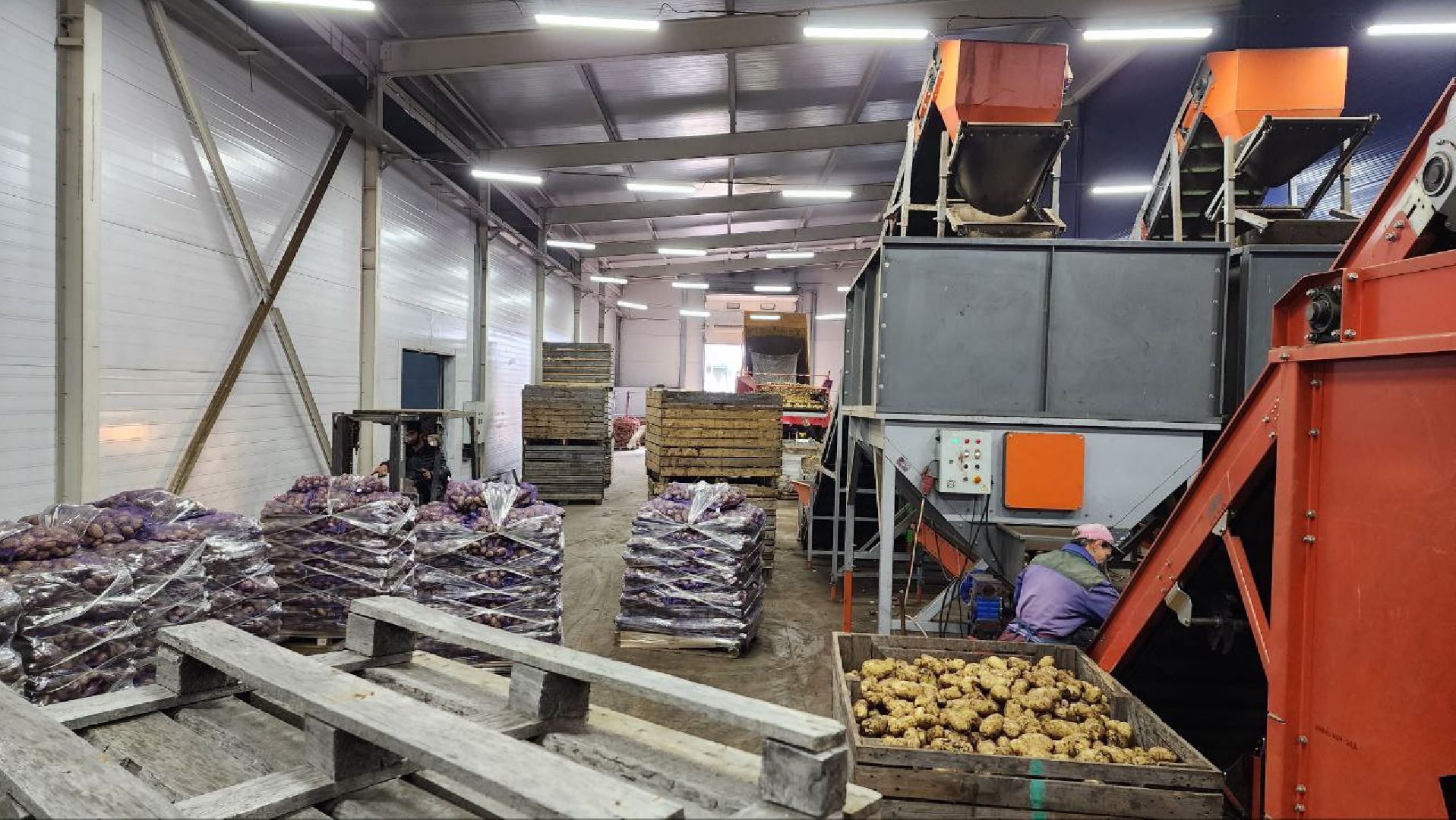 Дмитров, Мосагрофуд, Минсельхоз,