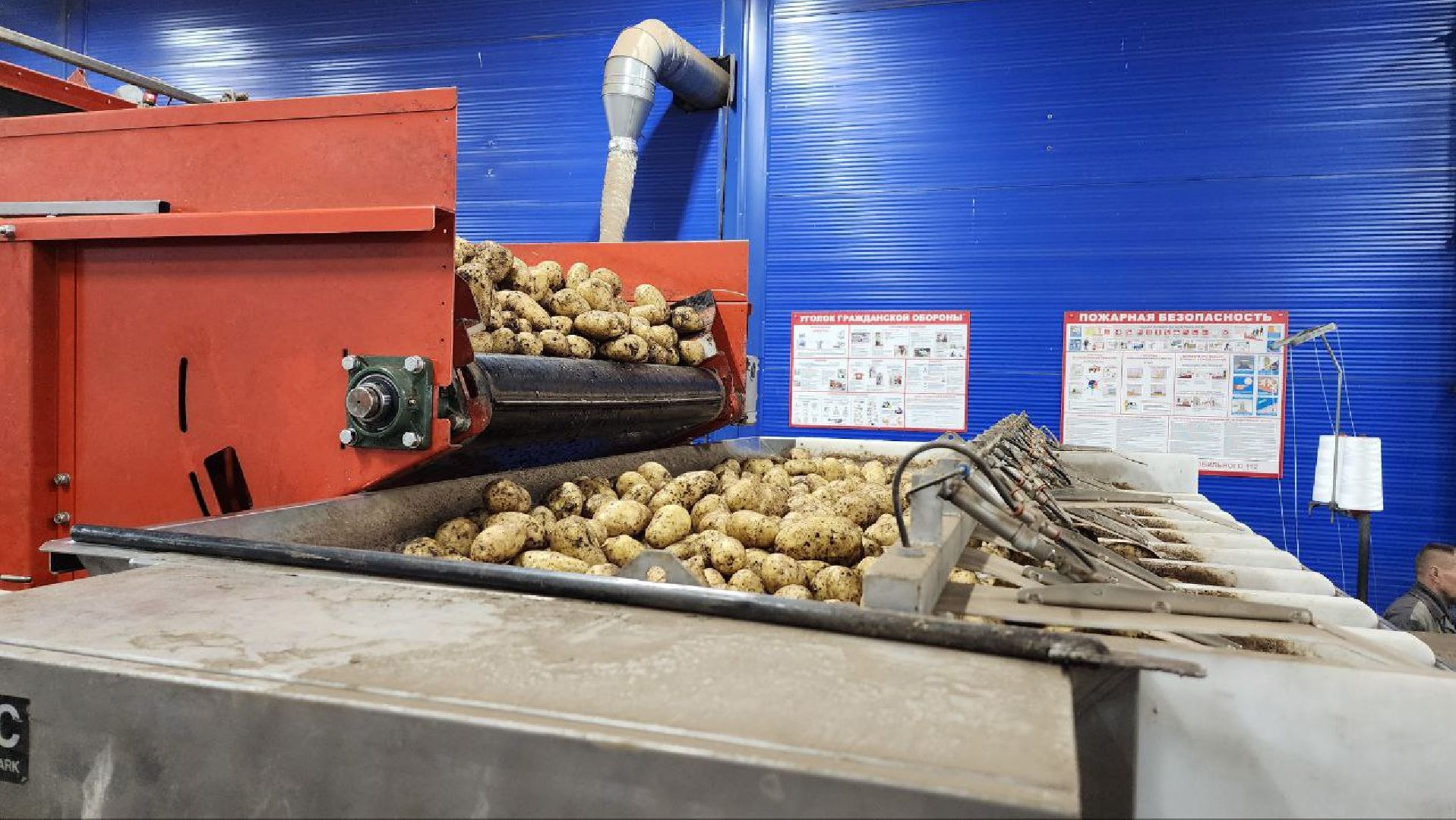 Дмитров, Мосагрофуд, Минсельхоз,